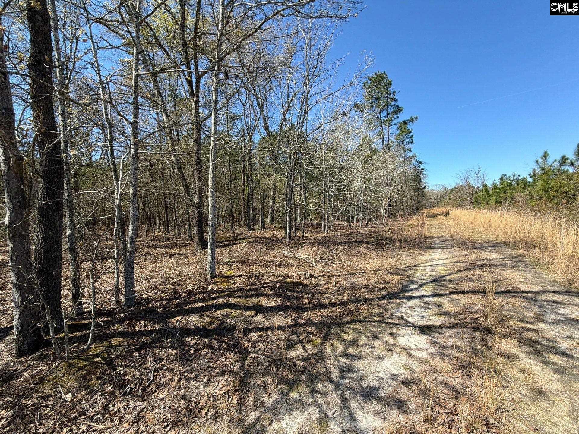 BHL 12 Boise Cascade Road Bethune, SC 29009