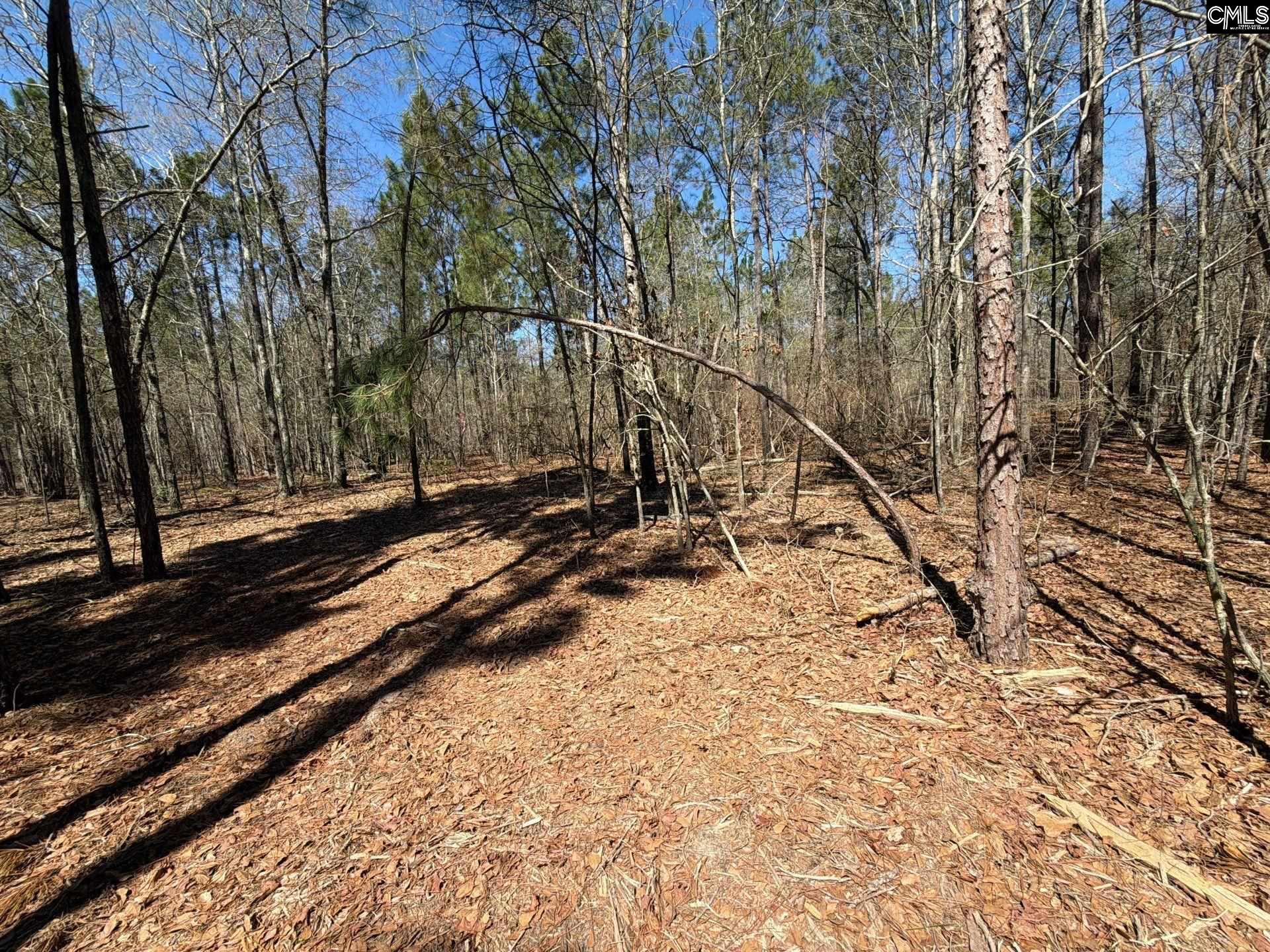 BHL 13 Boise Cascade Road Bethune, SC 29009