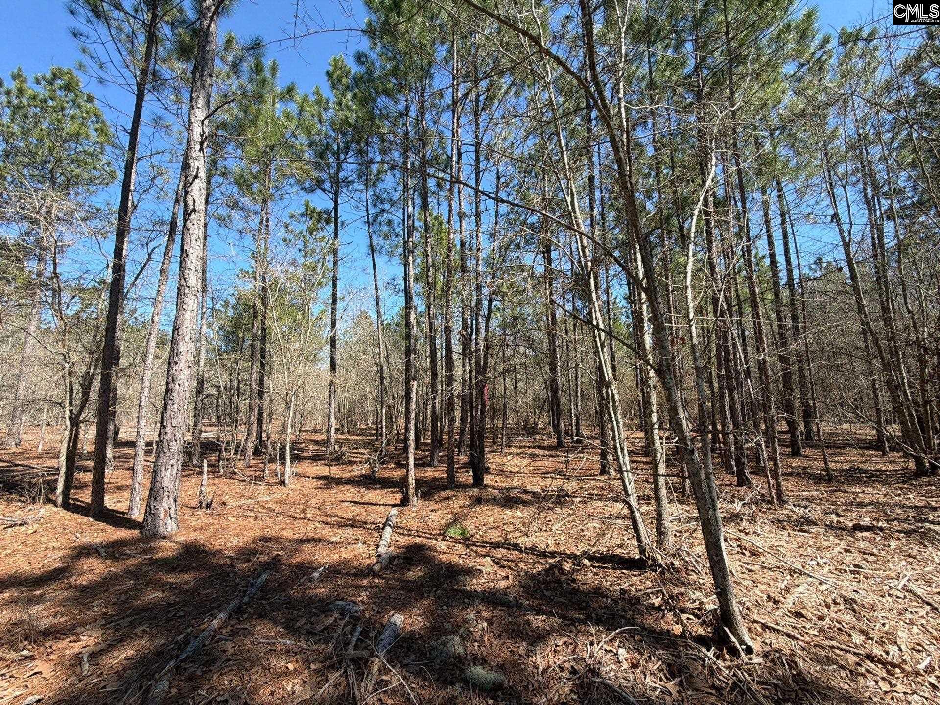 BHL 13 Boise Cascade Road Bethune, SC 29009