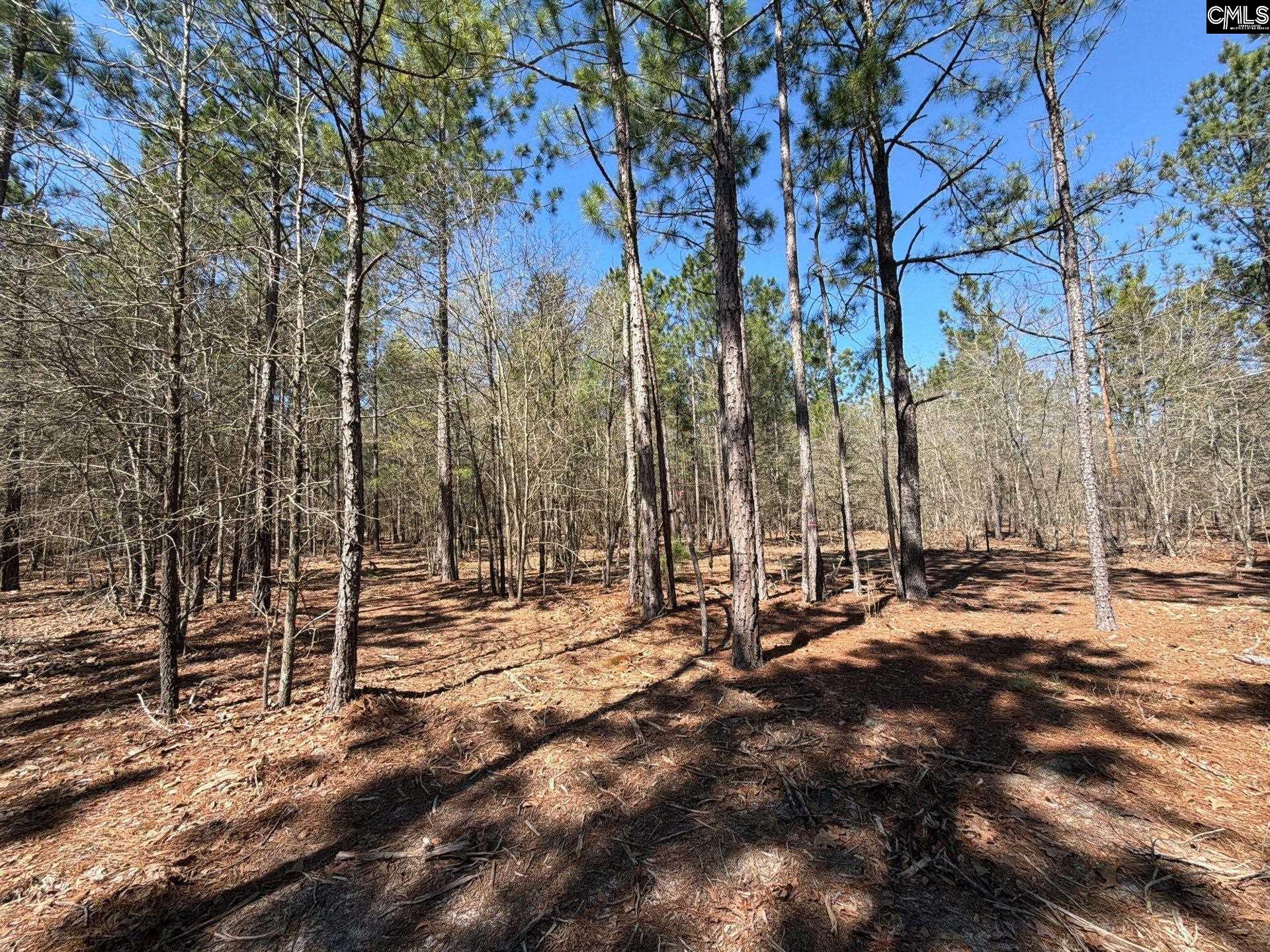 BHL 13 Boise Cascade Road Bethune, SC 29009