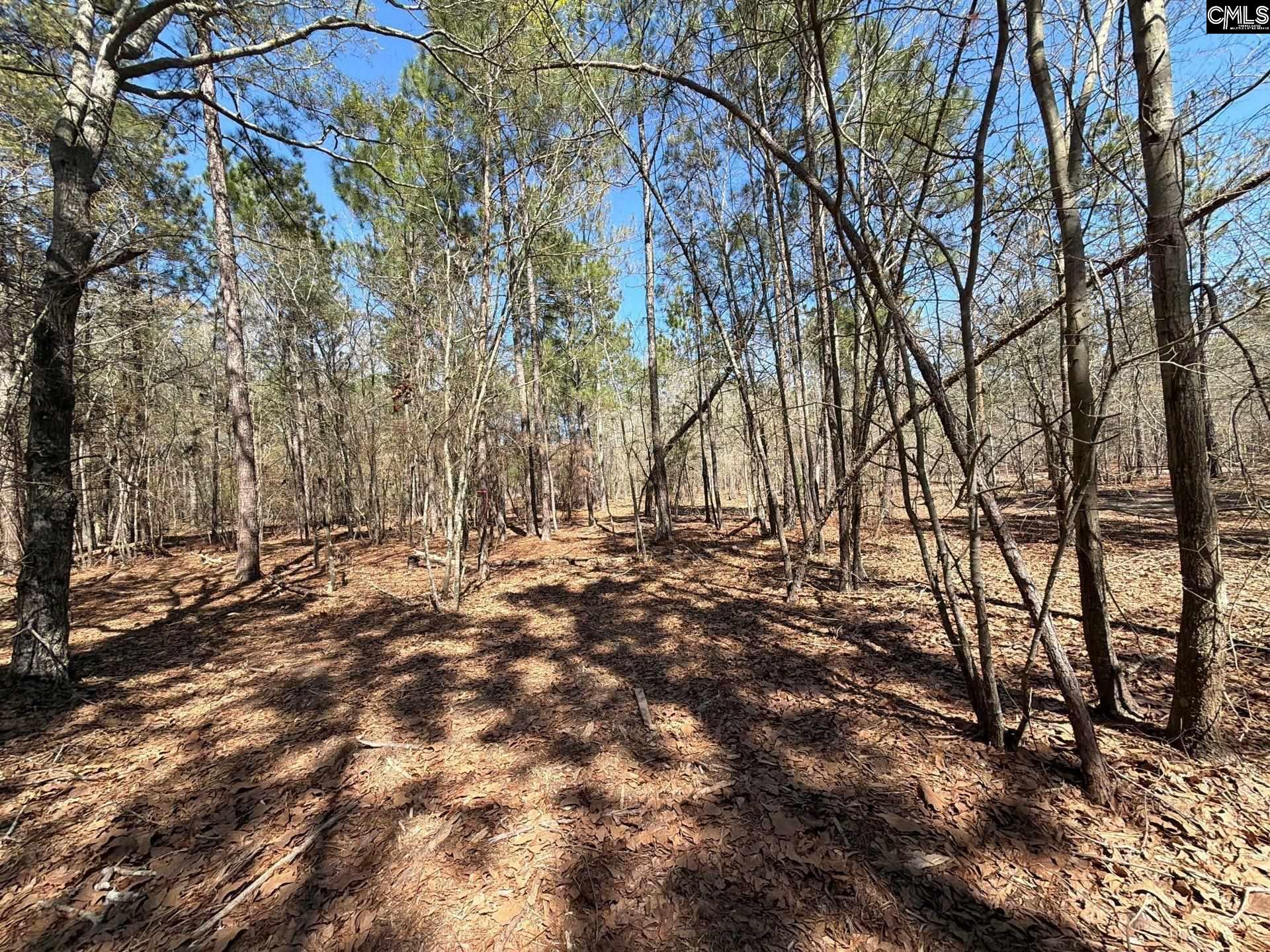 BHL 13 Boise Cascade Road Bethune, SC 29009