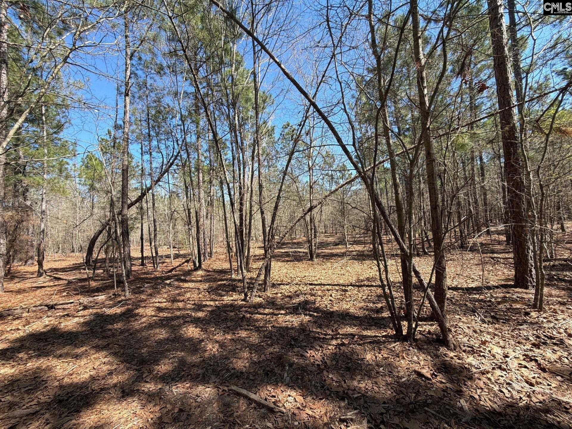 BHL 13 Boise Cascade Road Bethune, SC 29009