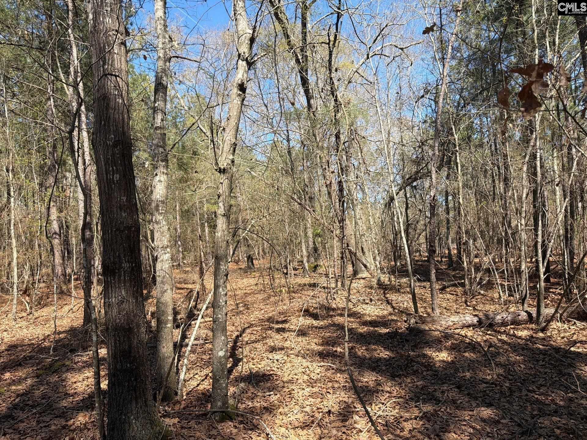 BHL 13 Boise Cascade Road Bethune, SC 29009