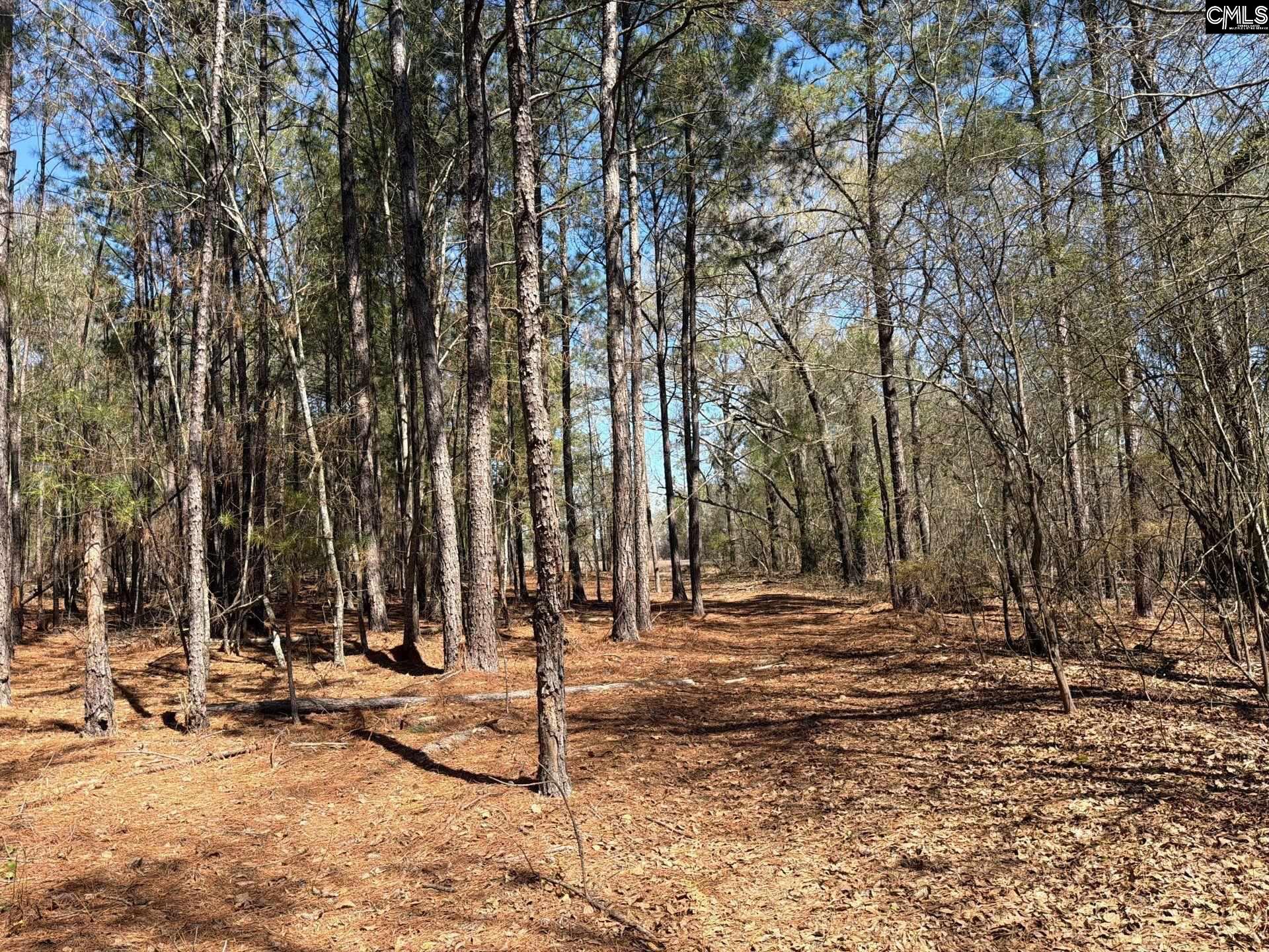 BHL 13 Boise Cascade Road Bethune, SC 29009
