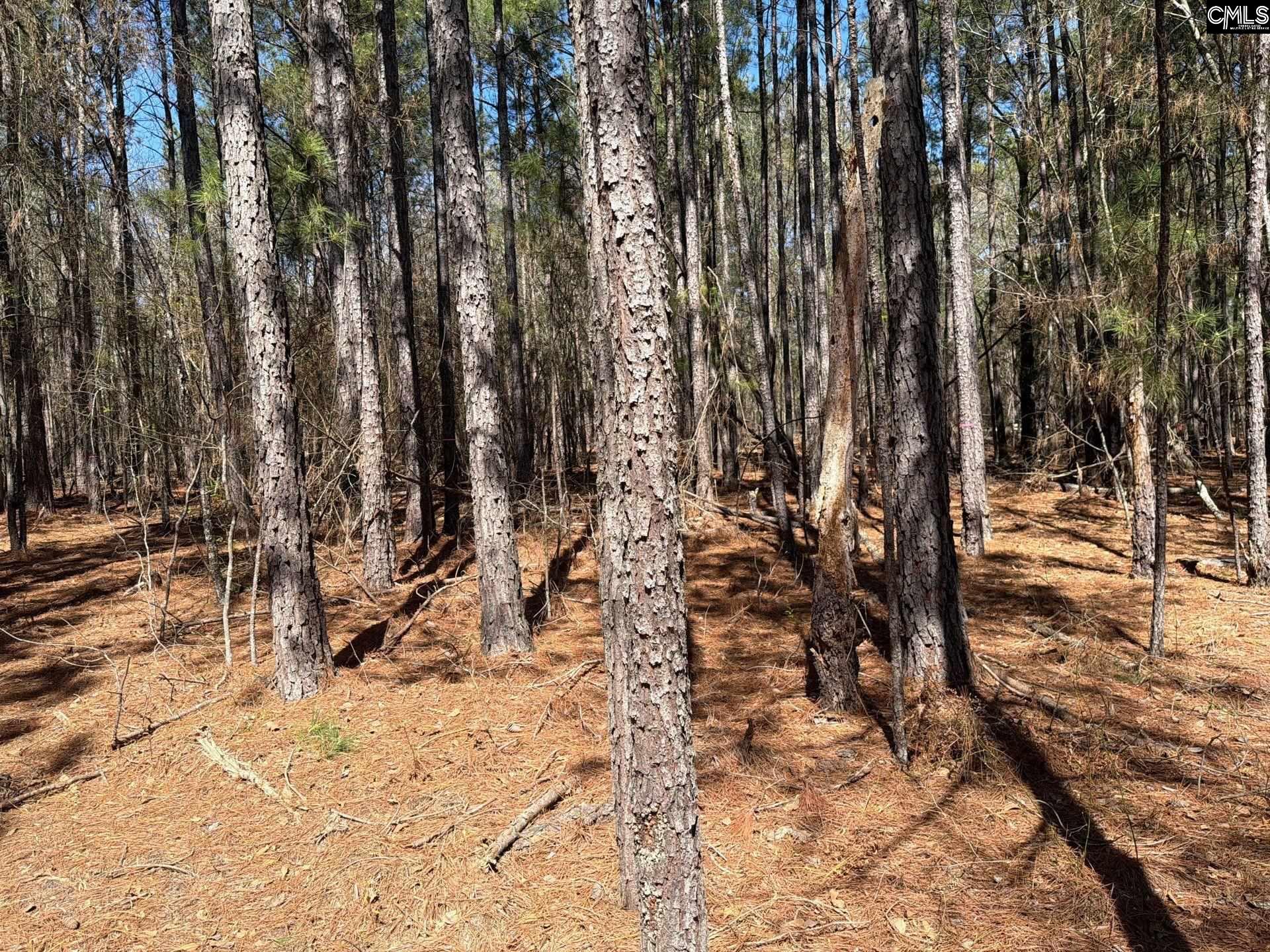 BHL 13 Boise Cascade Road Bethune, SC 29009