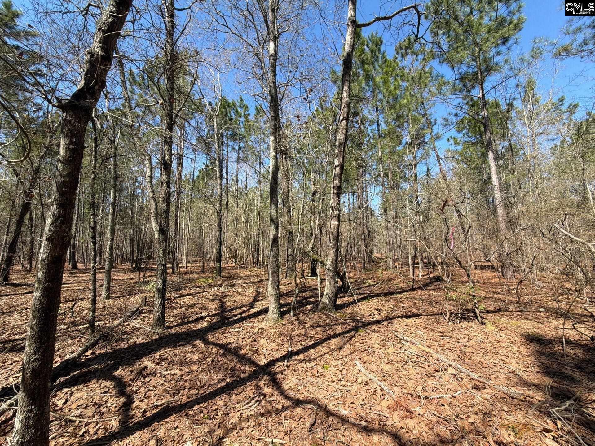 BHL 13 Boise Cascade Road Bethune, SC 29009