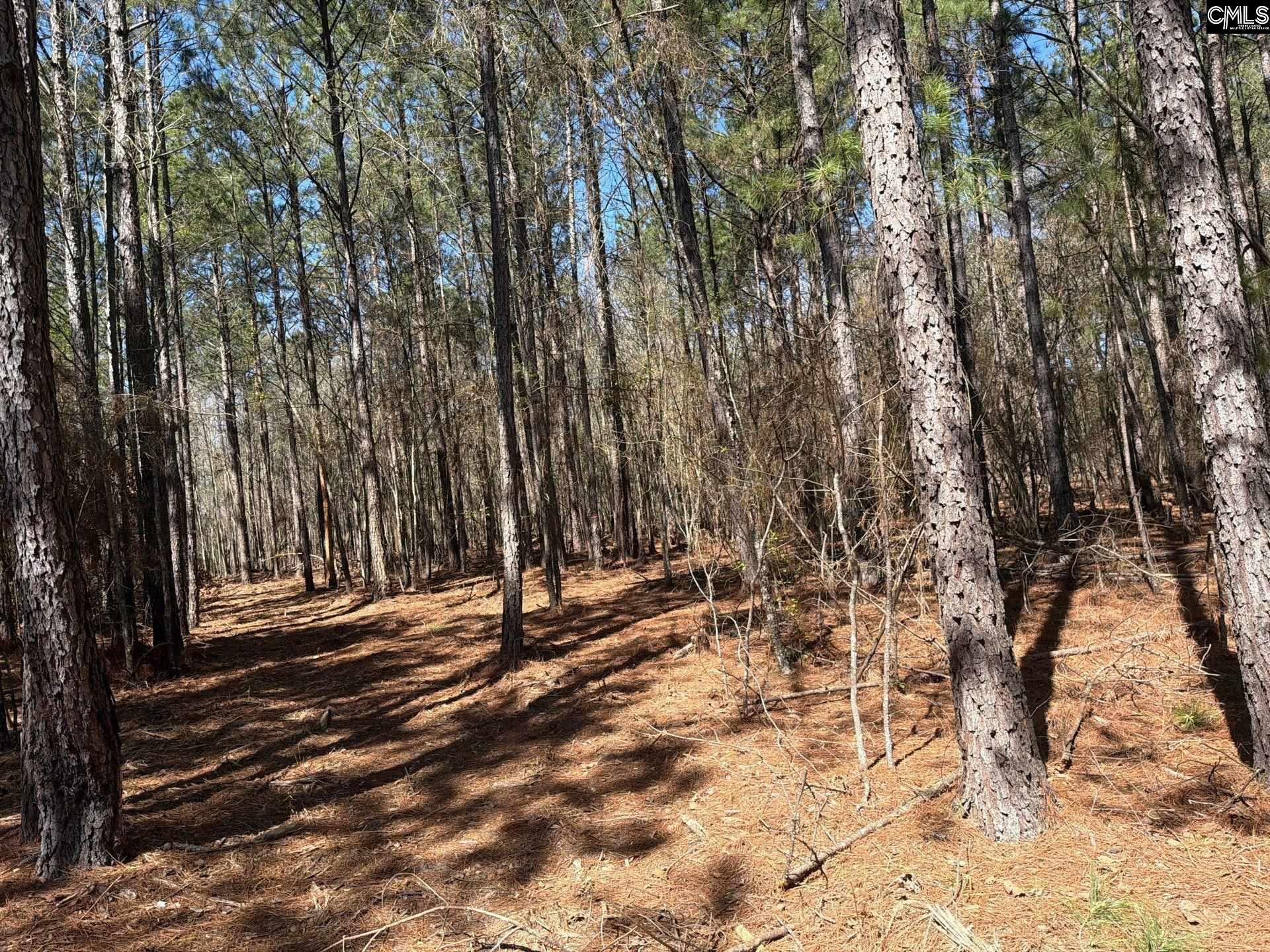 BHL 13 Boise Cascade Road Bethune, SC 29009