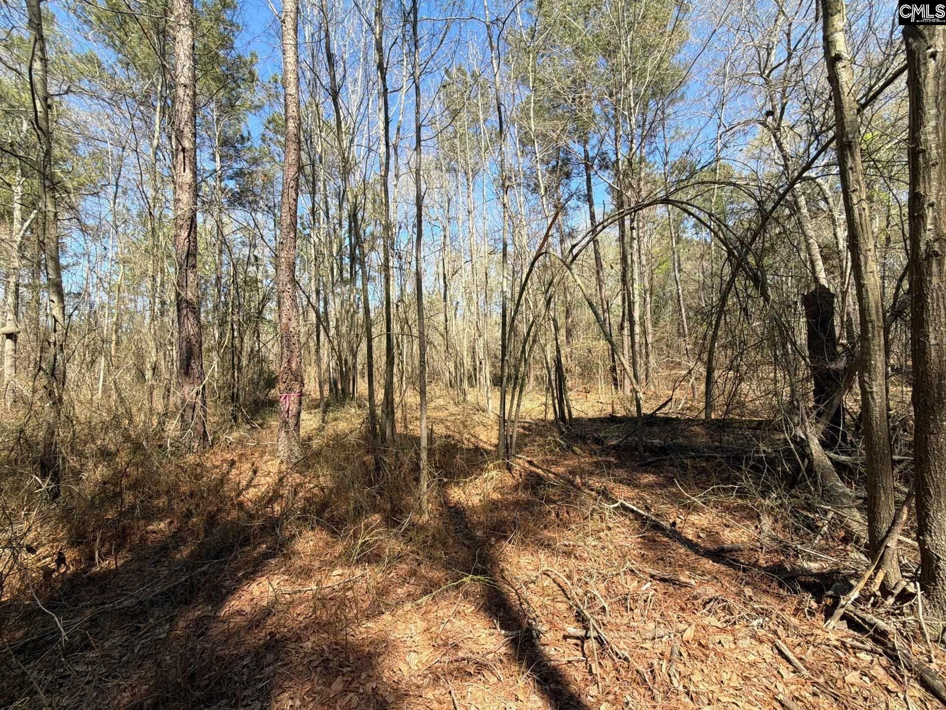 BHL 13 Boise Cascade Road Bethune, SC 29009