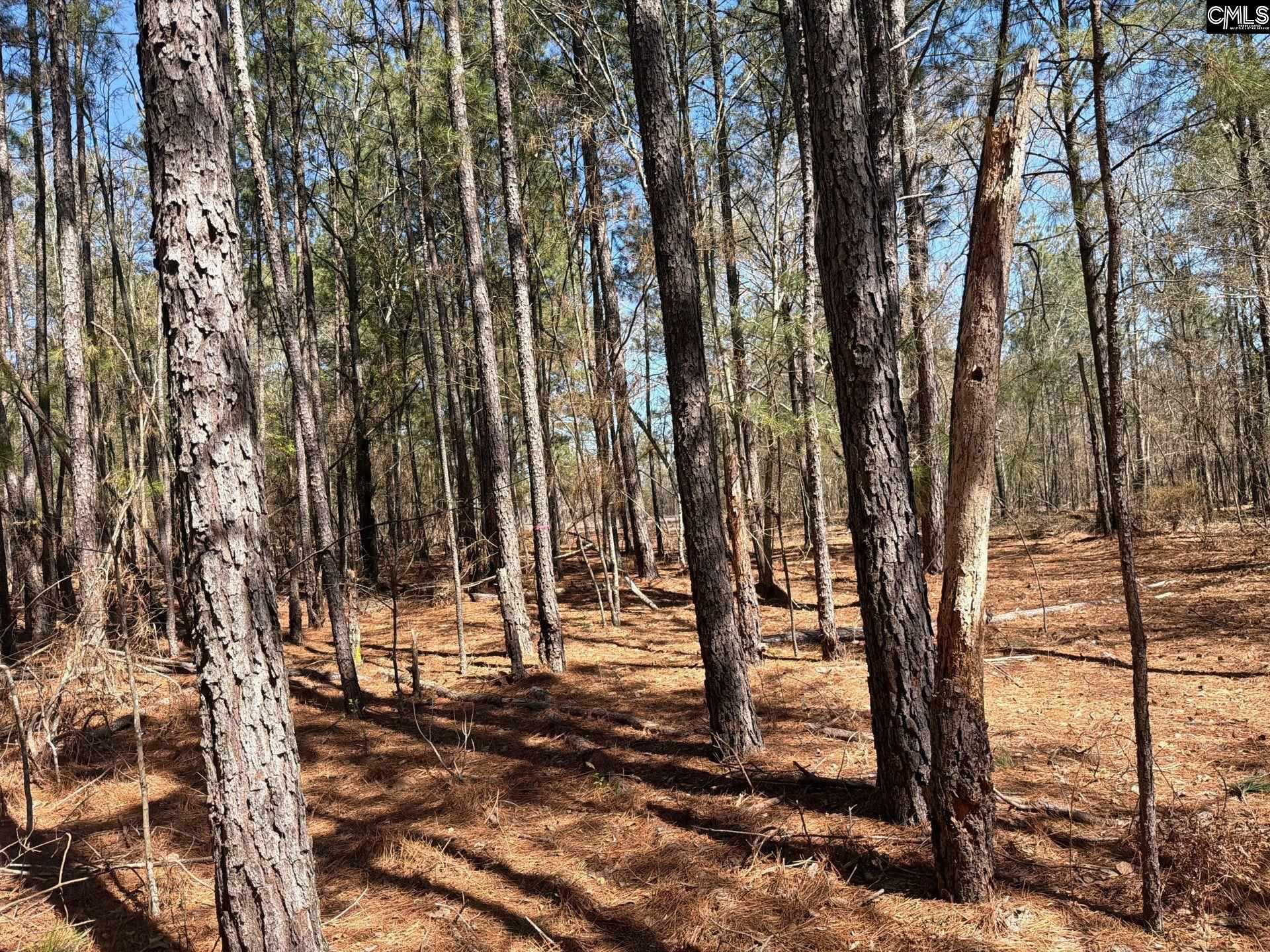 BHL 13 Boise Cascade Road Bethune, SC 29009