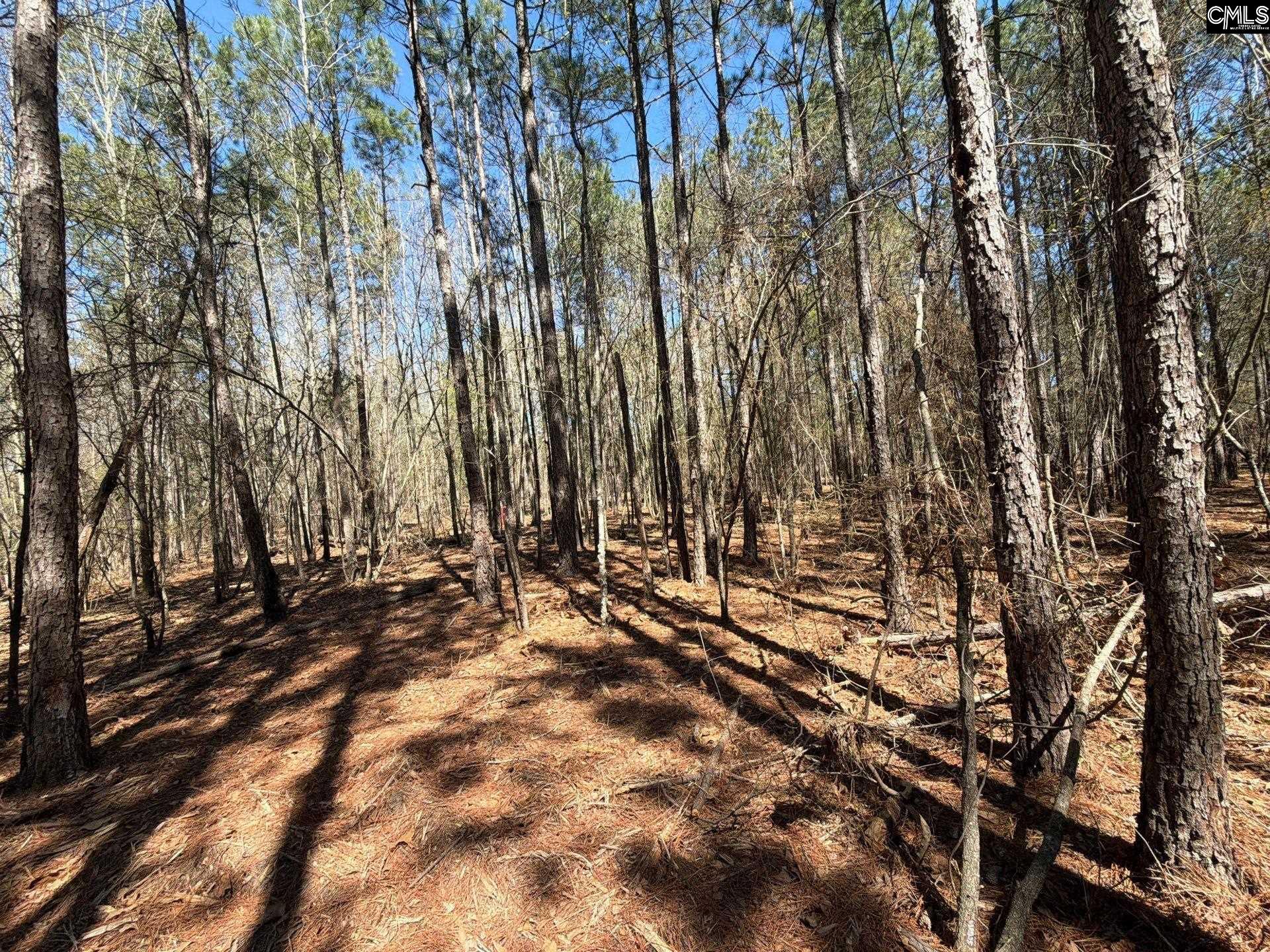 BHL 13 Boise Cascade Road Bethune, SC 29009