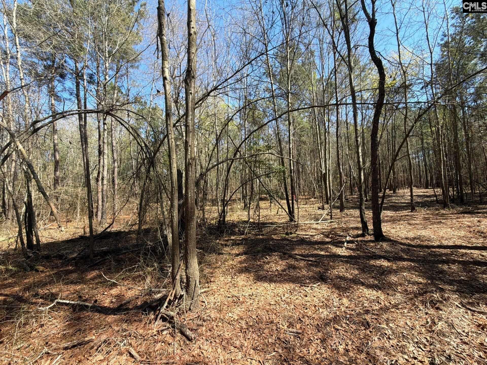 BHL 13 Boise Cascade Road Bethune, SC 29009
