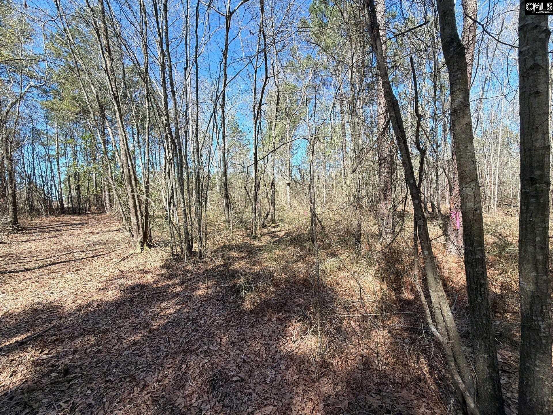 BHL 13 Boise Cascade Road Bethune, SC 29009