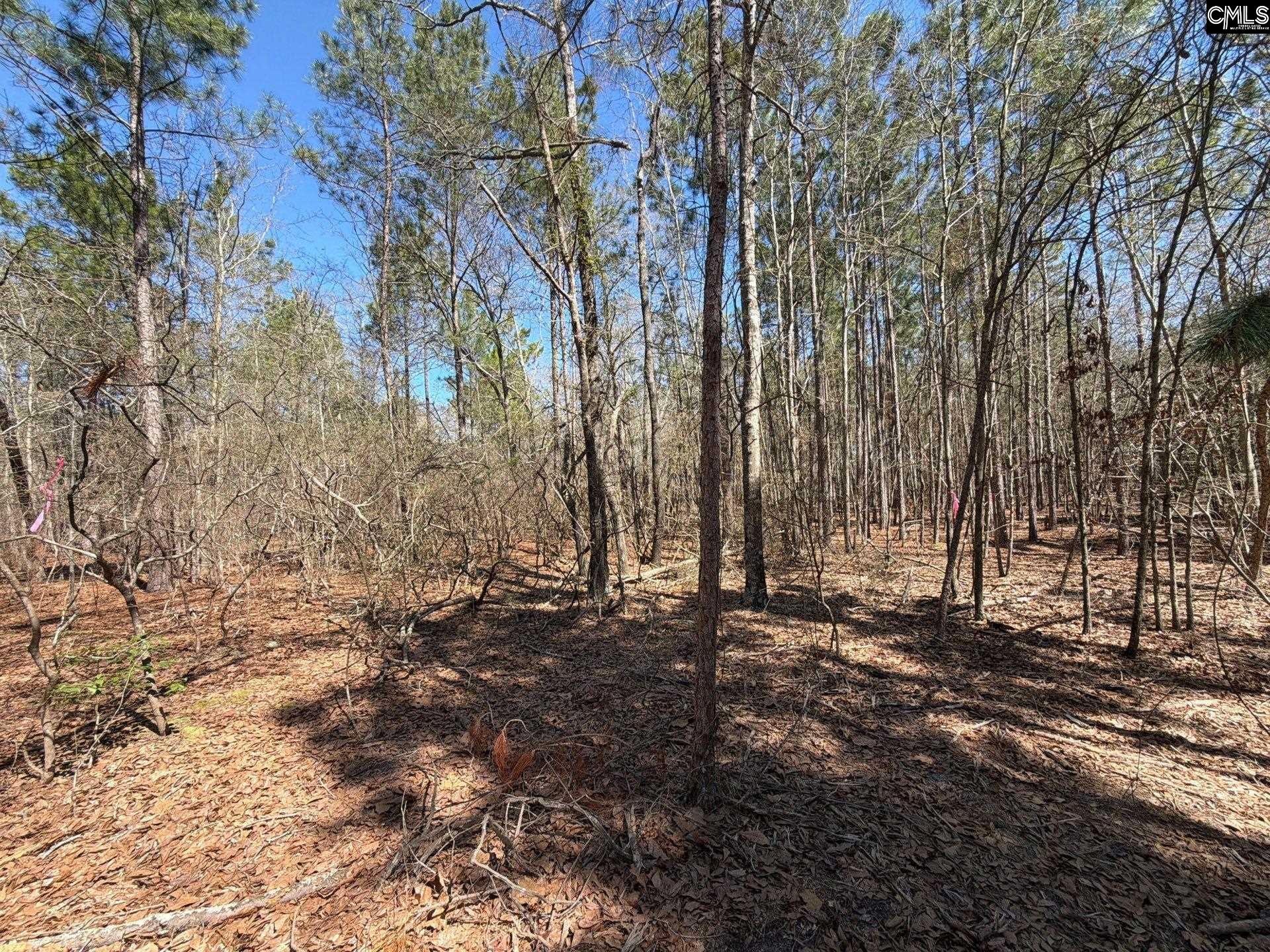 BHL 13 Boise Cascade Road Bethune, SC 29009