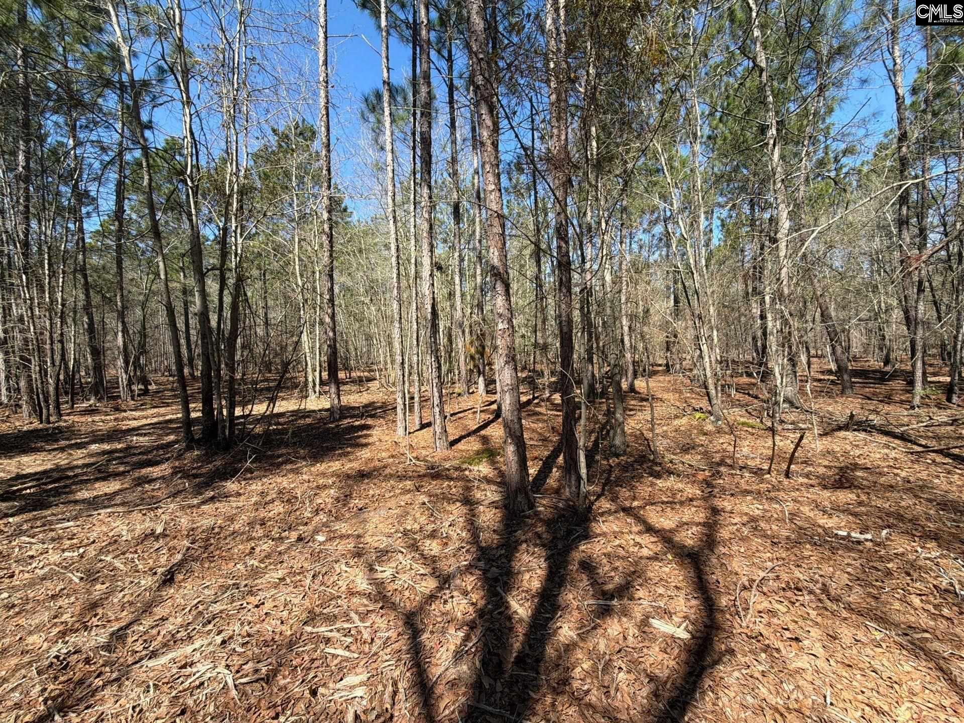 BHL 13 Boise Cascade Road Bethune, SC 29009