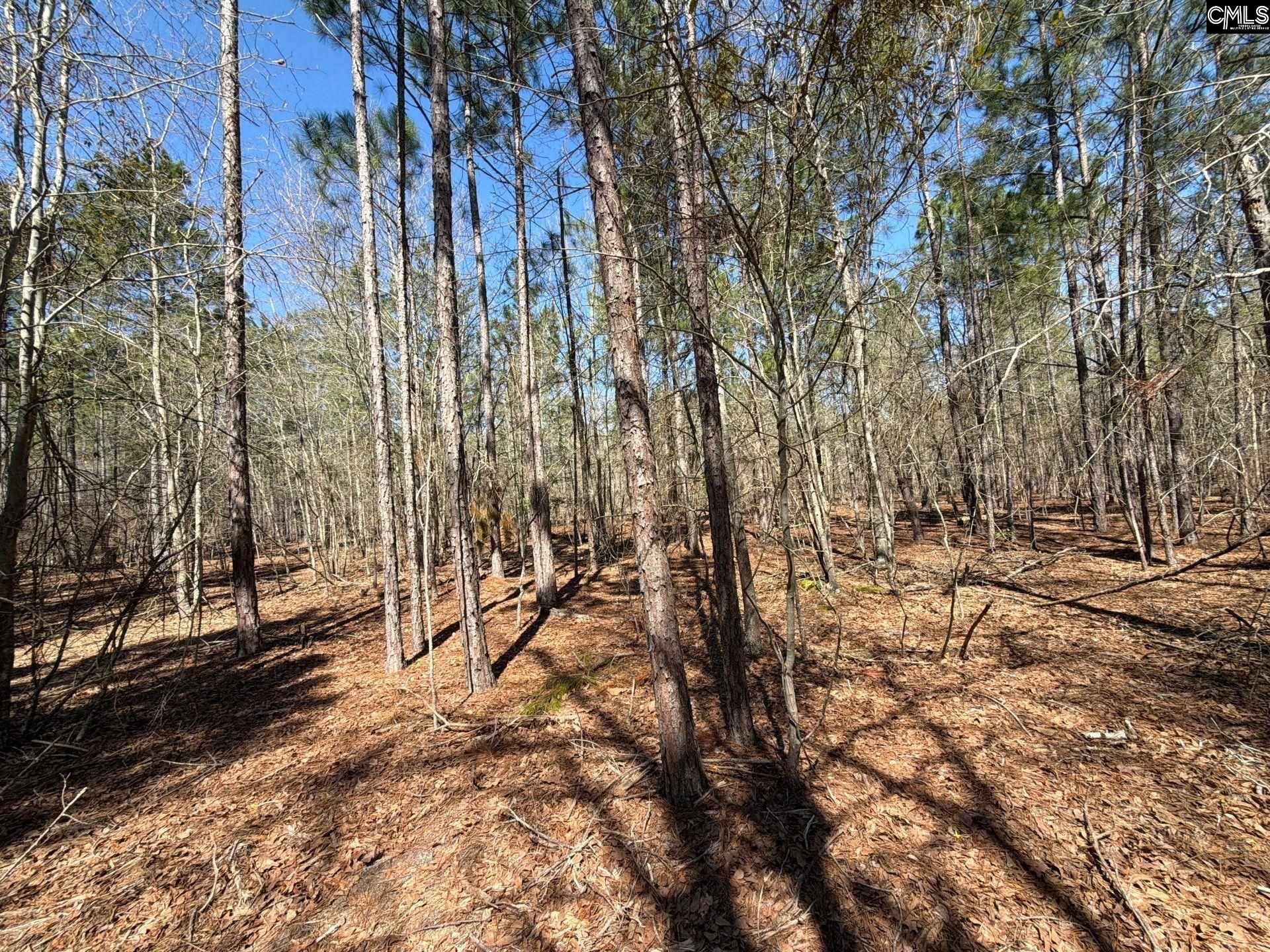 BHL 13 Boise Cascade Road Bethune, SC 29009