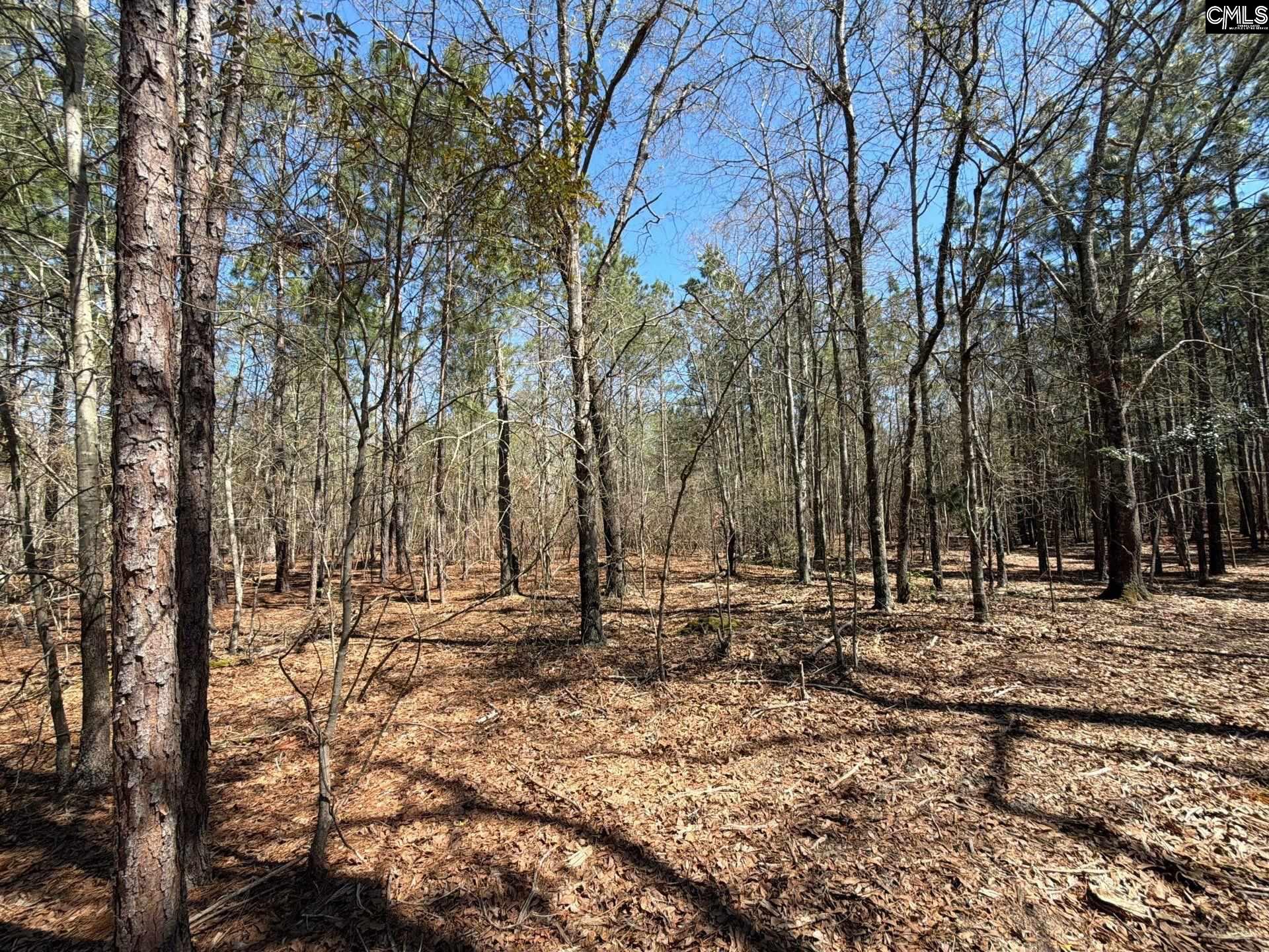 BHL 13 Boise Cascade Road Bethune, SC 29009