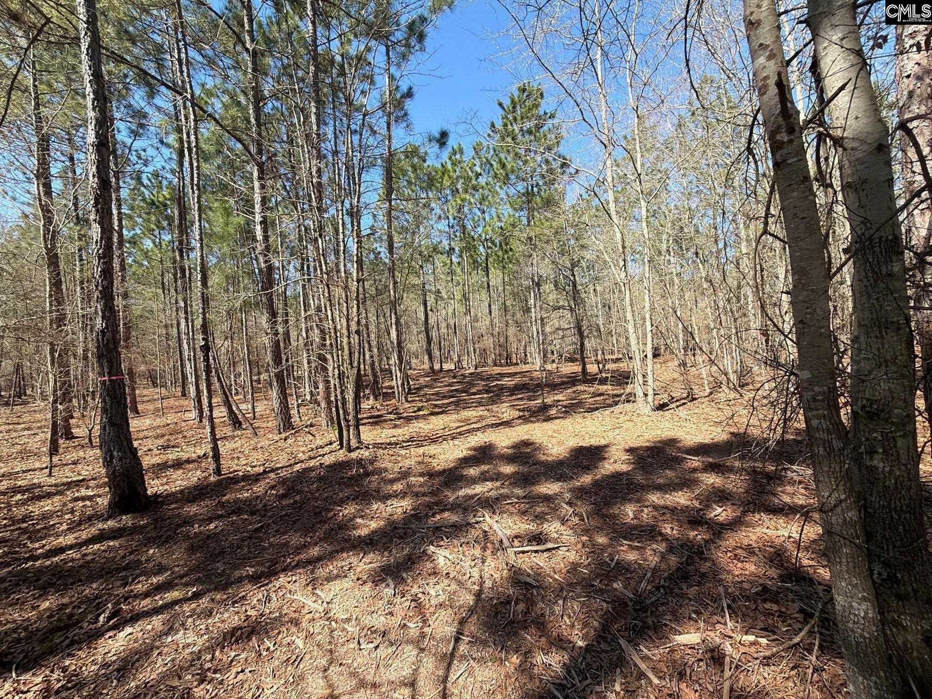 BHL 13 Boise Cascade Road Bethune, SC 29009