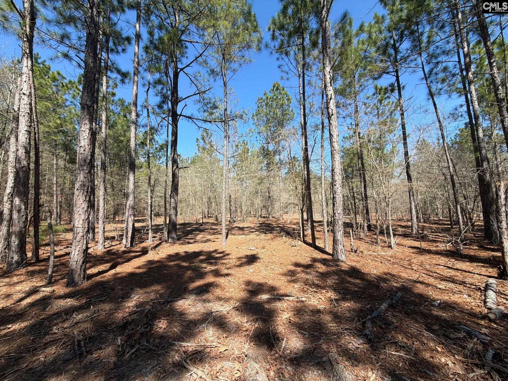 BHL 13 Boise Cascade Road Bethune, SC 29009