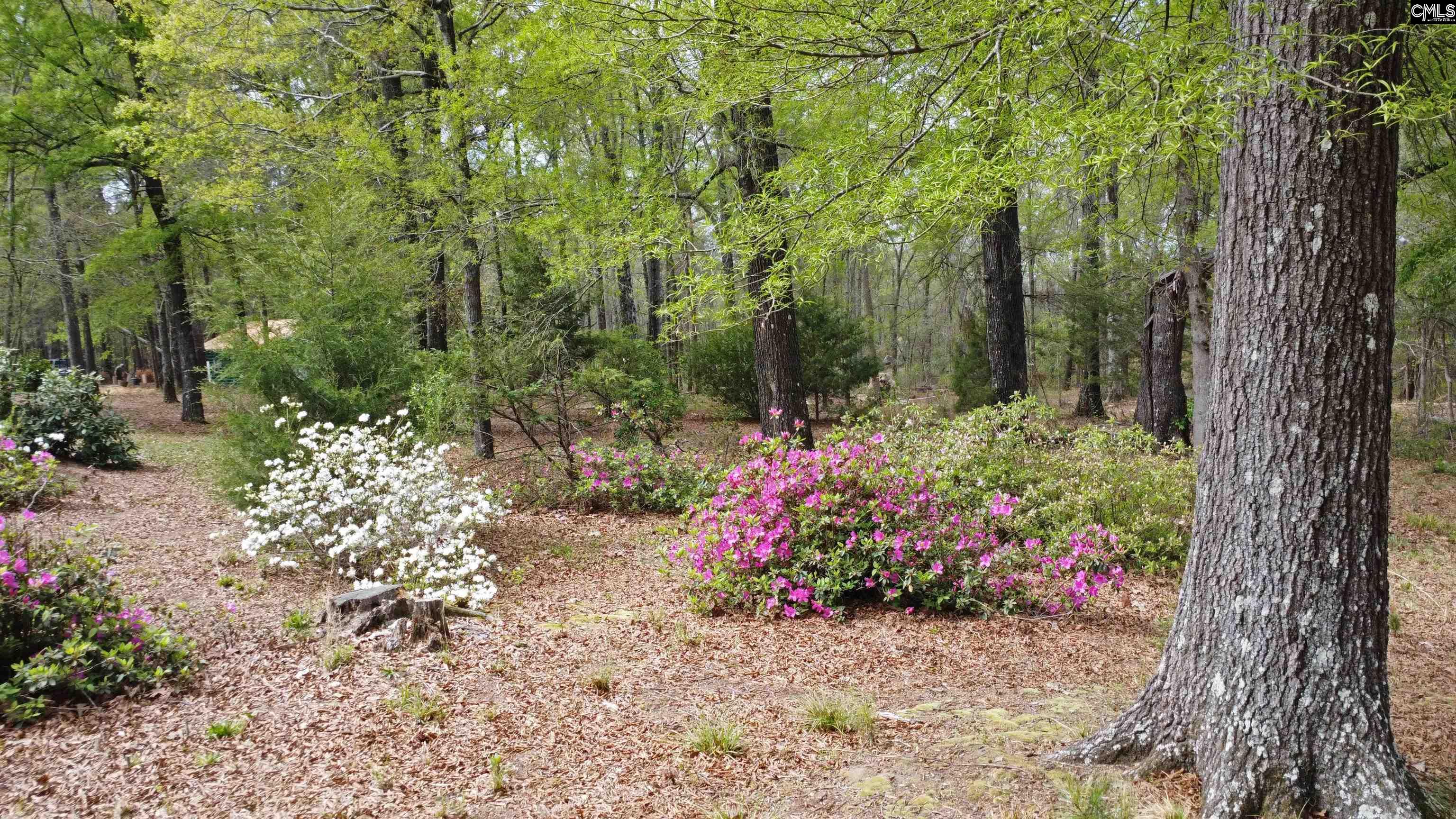 418 Gin Branch Circle Leesville, SC 29070