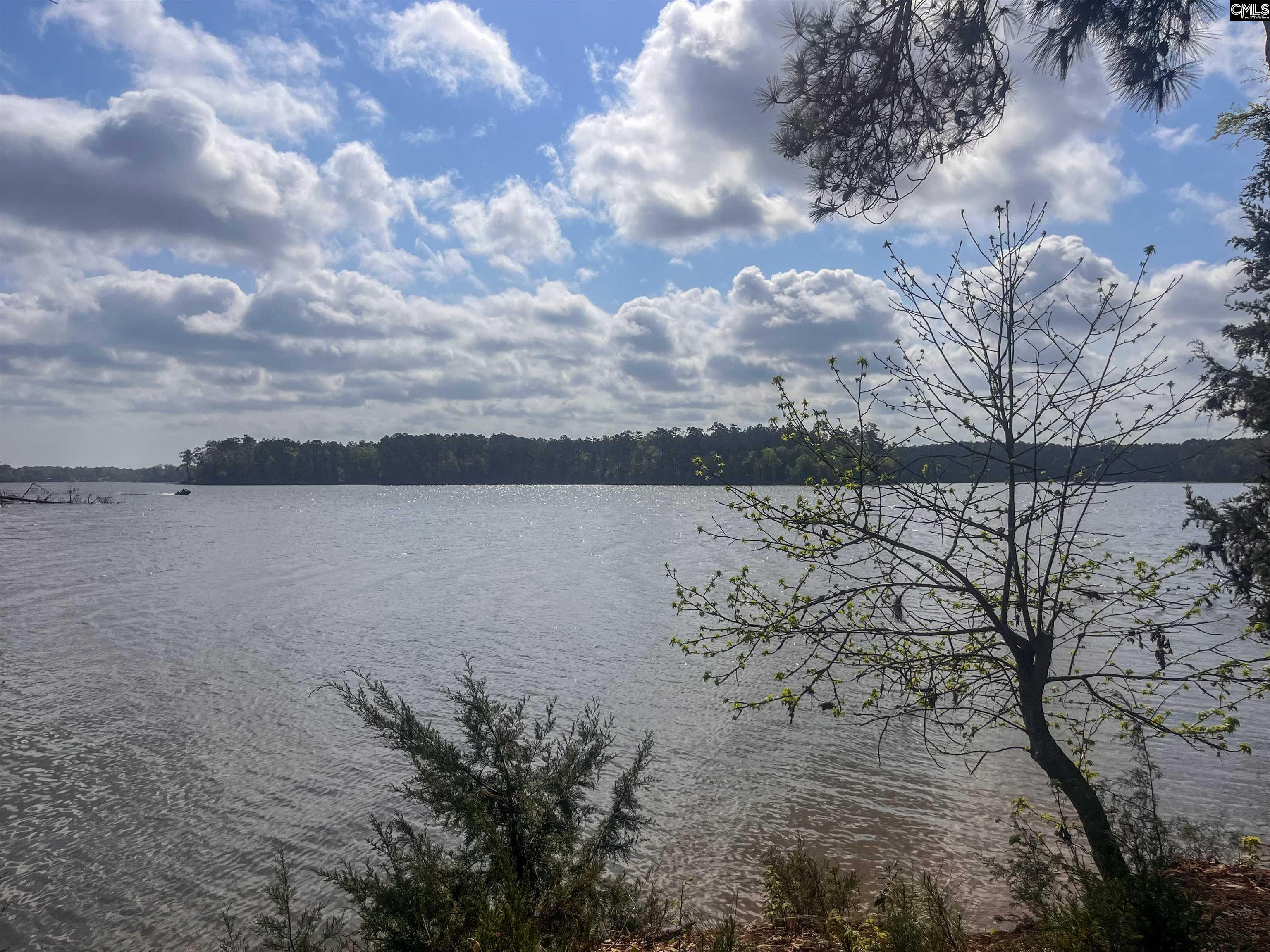 193 Lands End Drive Prosperity, SC 29127