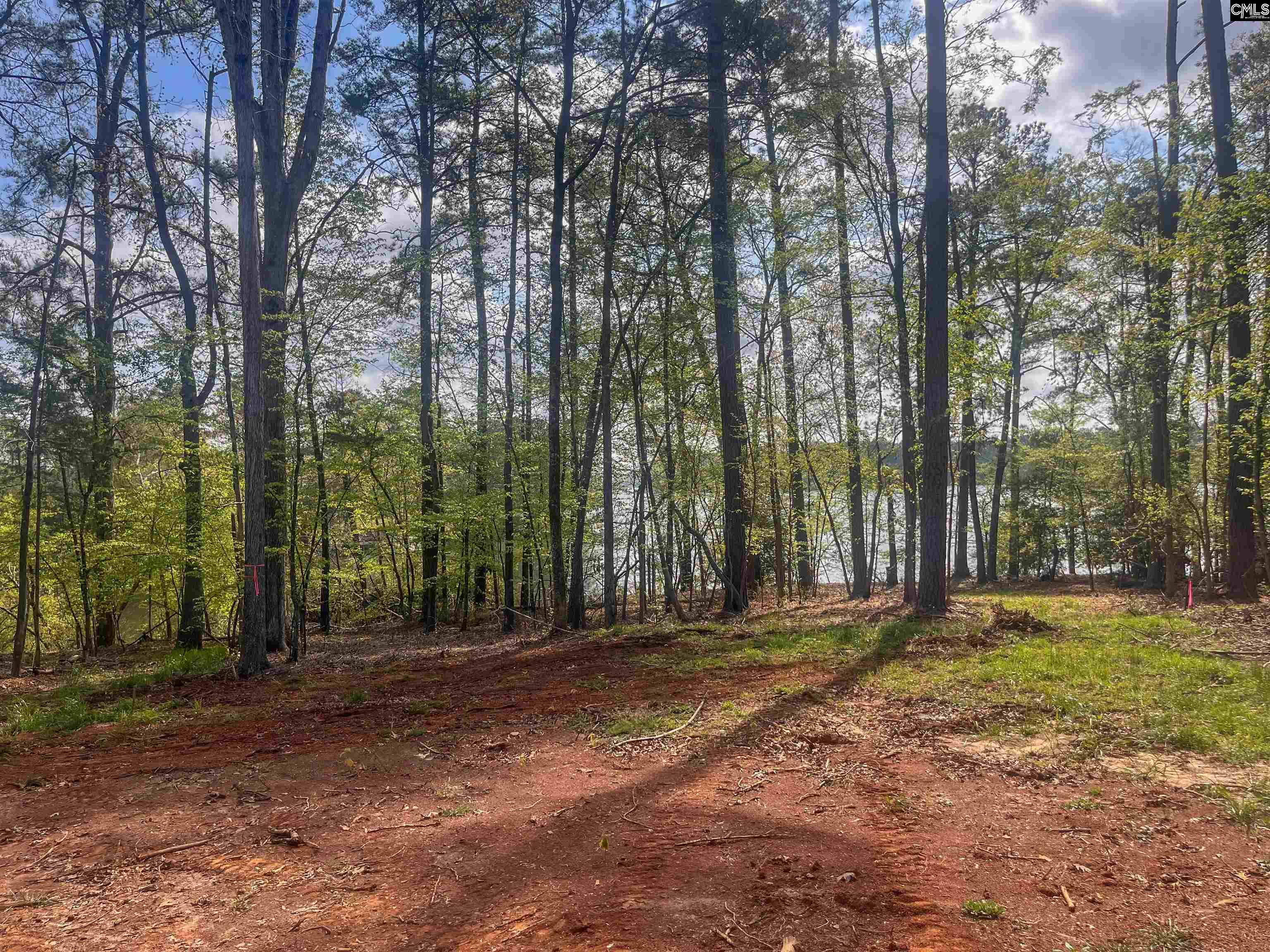 193 Lands End Drive Prosperity, SC 29127