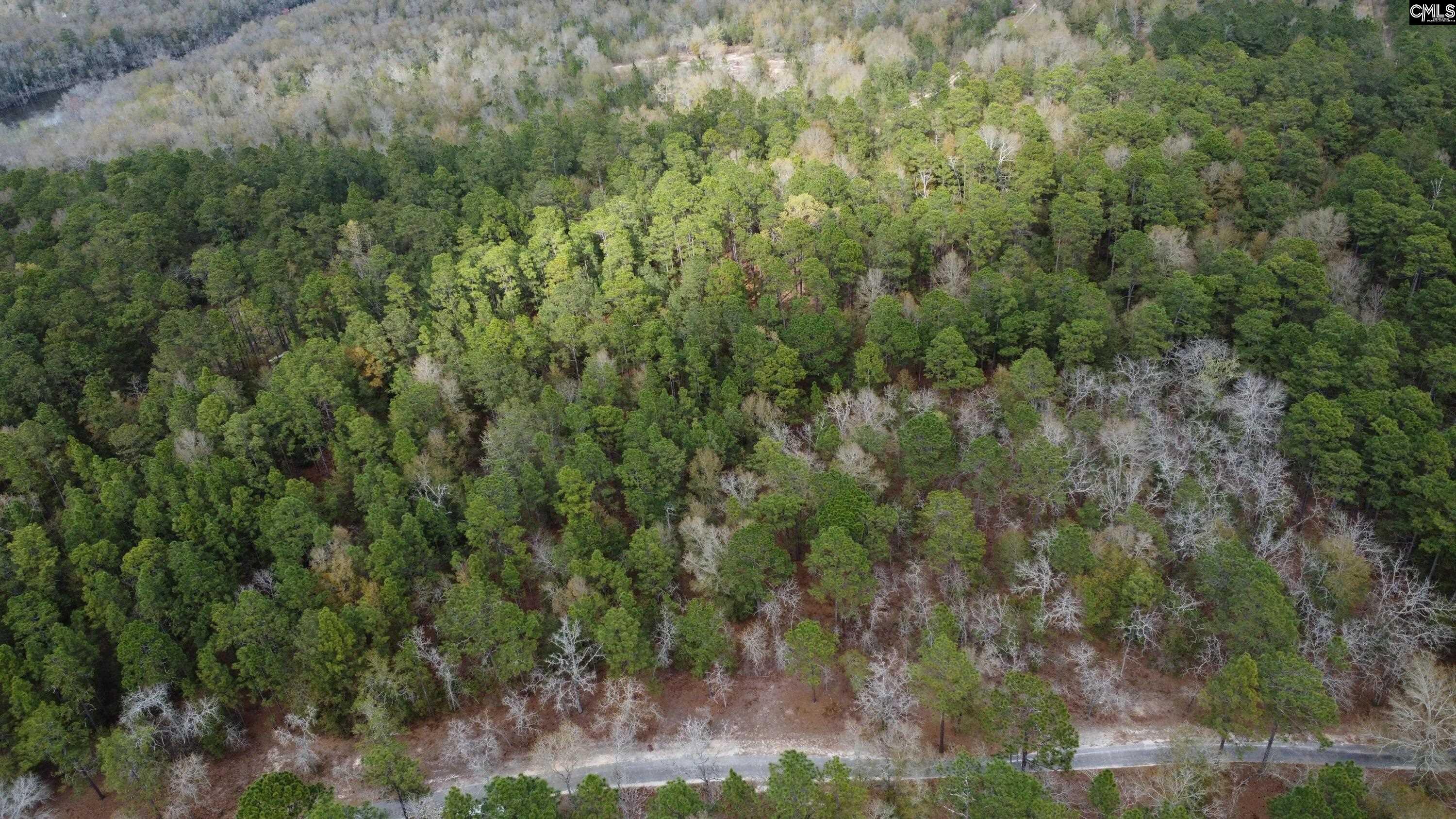 TBD Edisto Lake Road UNIT #102 Wagener, SC 29164
