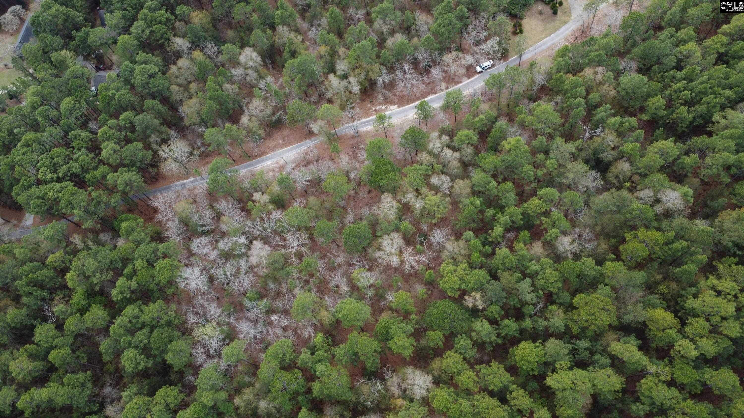 TBD Edisto Lake Road UNIT #102 Wagener, SC 29164