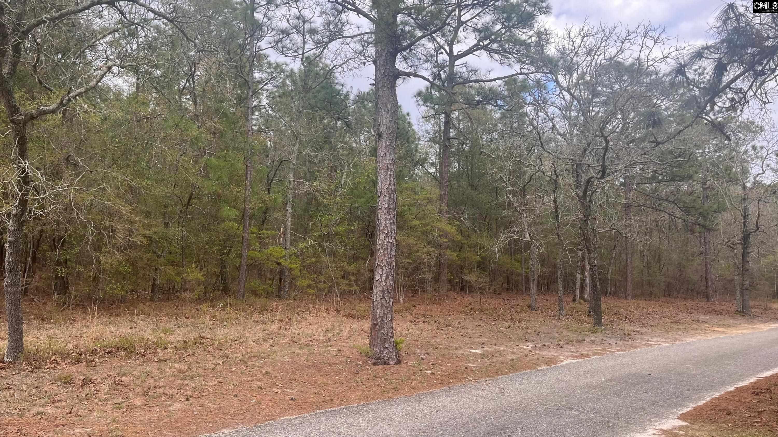 TBD Edisto Lake Road UNIT #102 Wagener, SC 29164