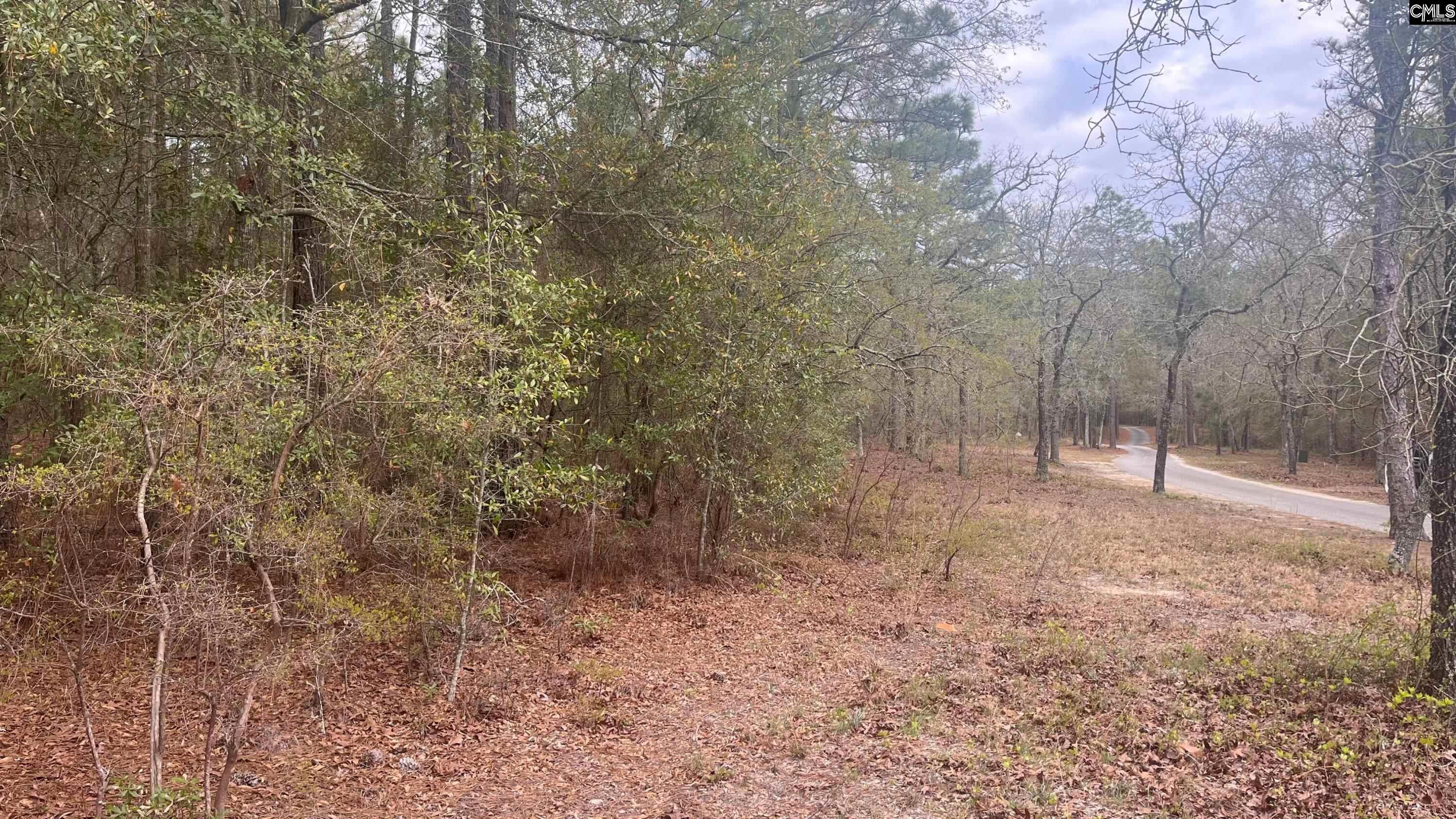 TBD Edisto Lake Road UNIT #102 Wagener, SC 29164