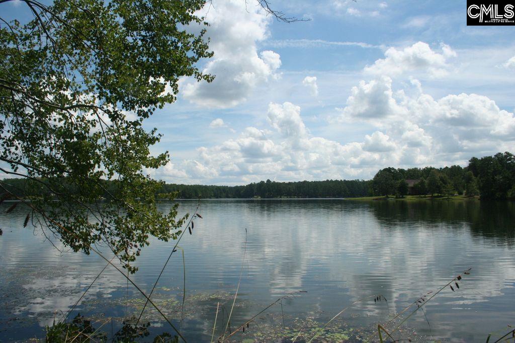 TBD Edisto Lake Road UNIT #102 Wagener, SC 29164