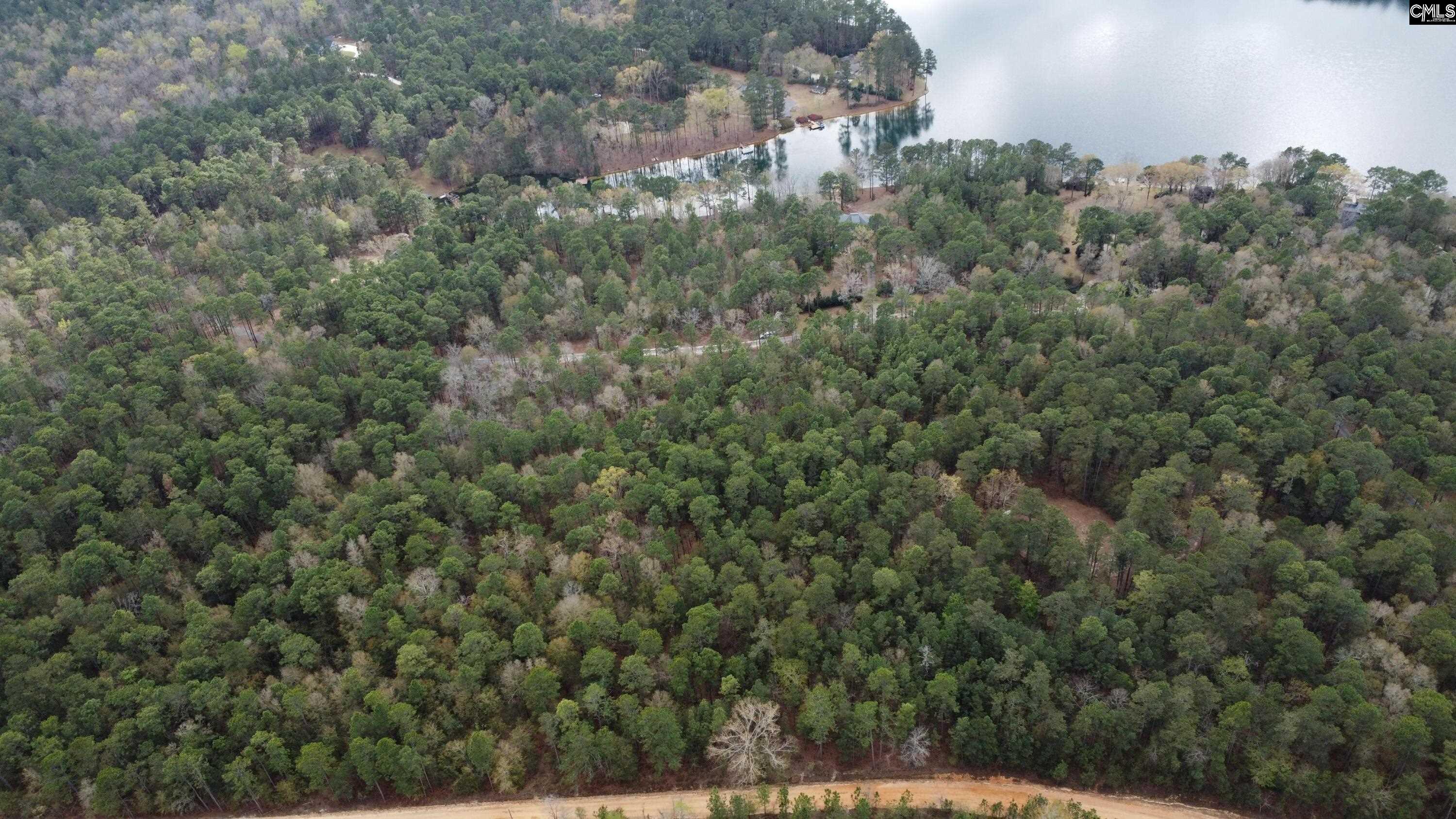 TBD Edisto Lake Road UNIT #102 Wagener, SC 29164