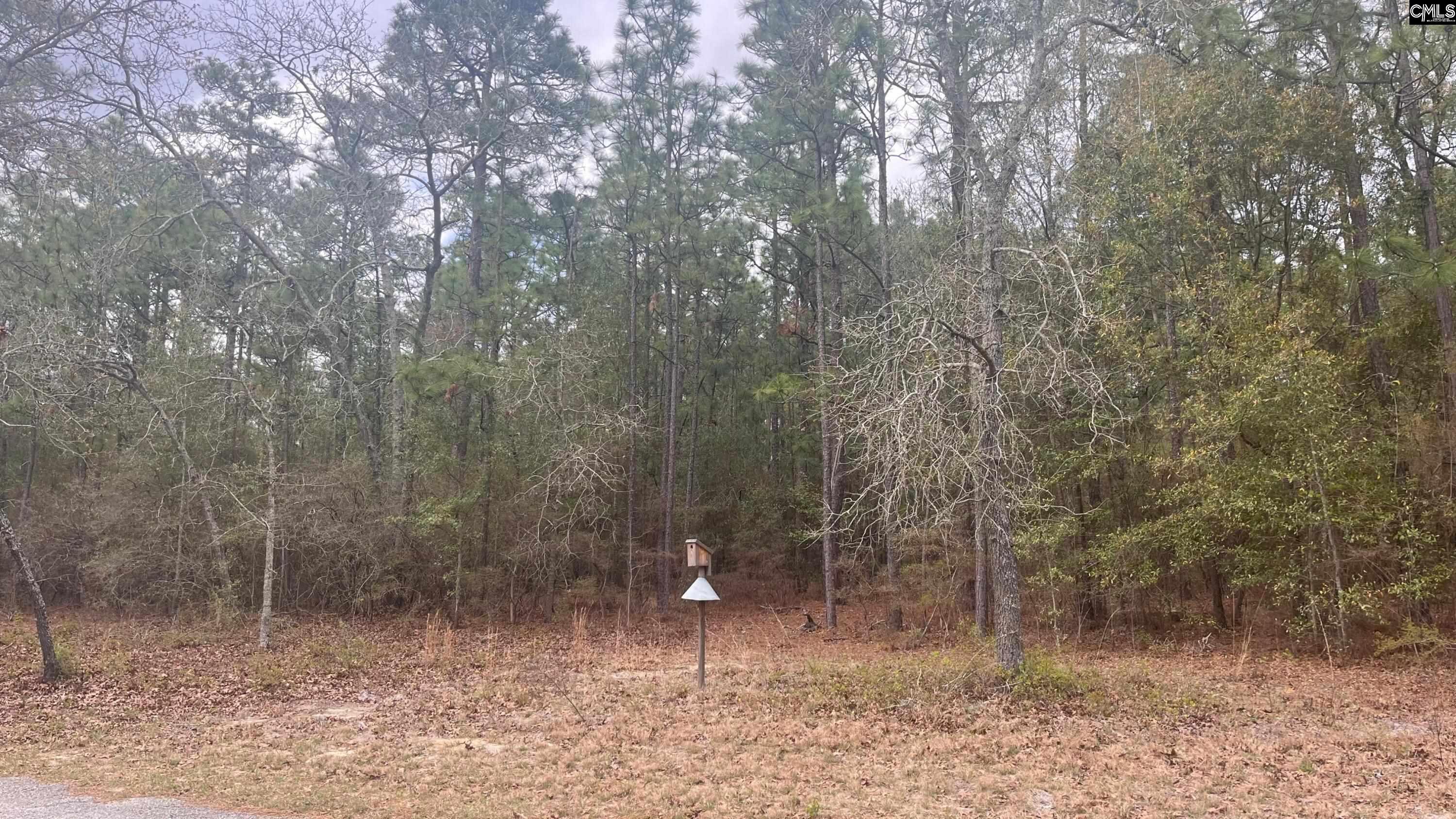 TBD Edisto Lake Road UNIT #102 Wagener, SC 29164