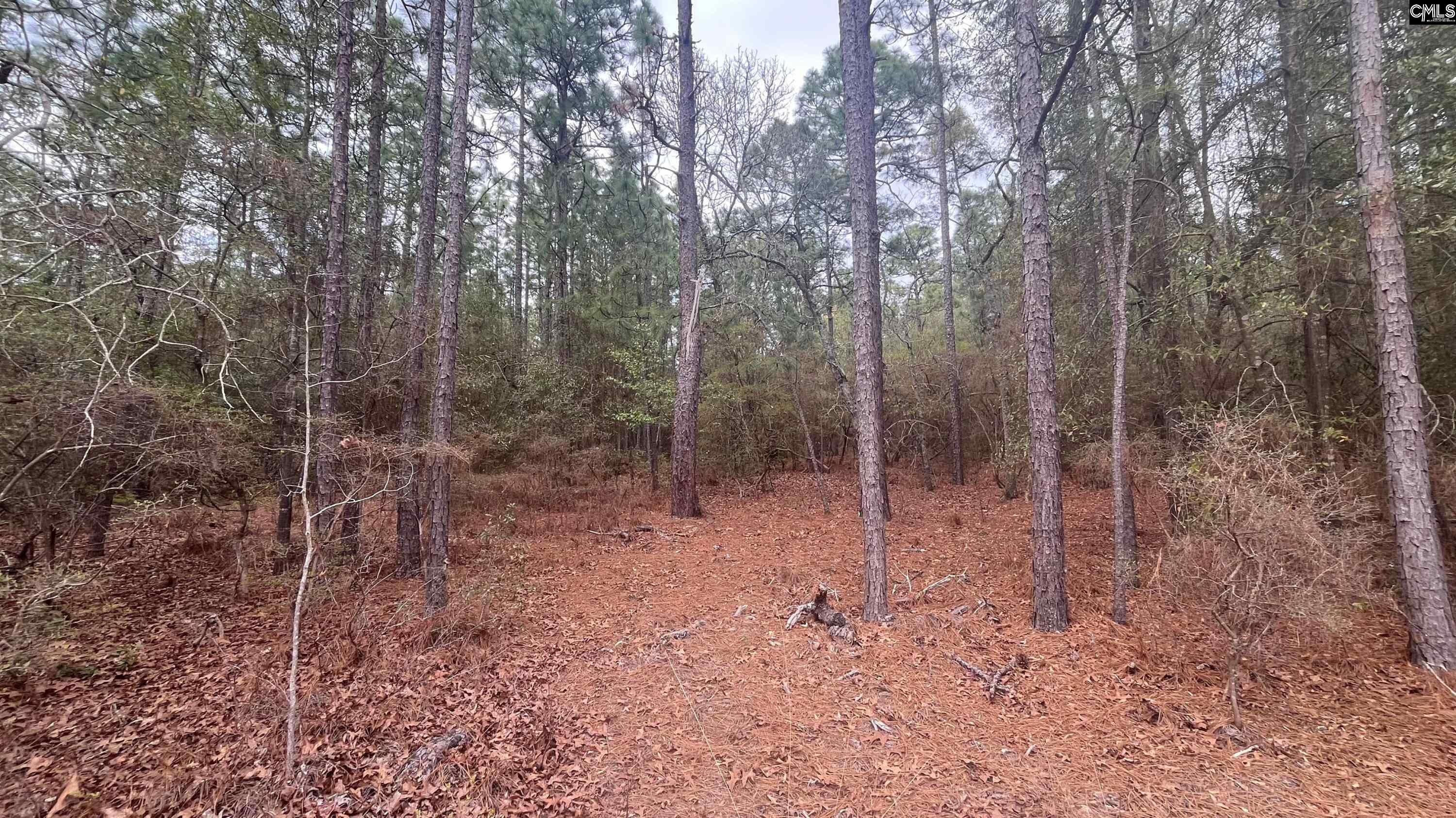 TBD Edisto Lake Road UNIT #102 Wagener, SC 29164