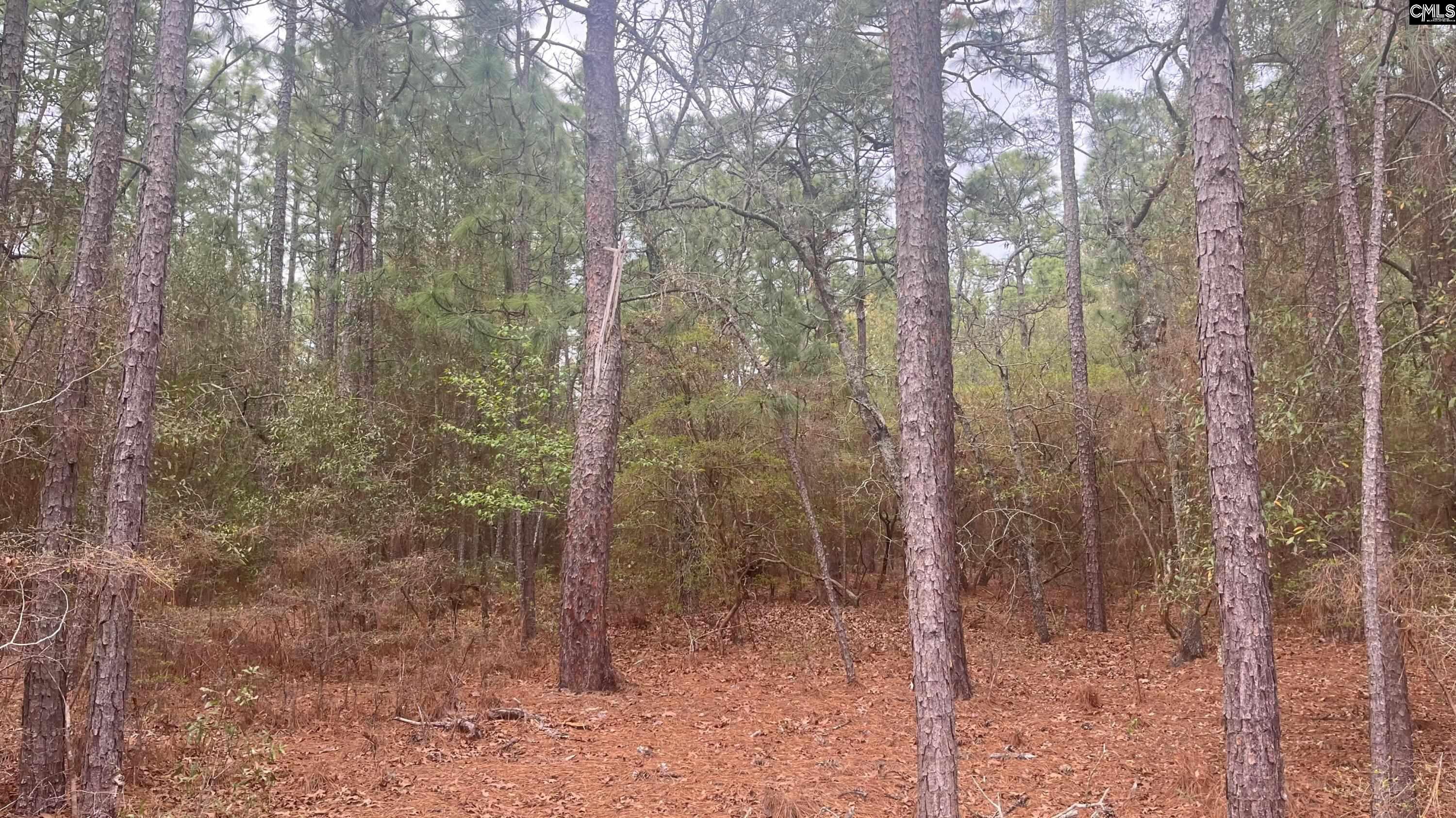 TBD Edisto Lake Road UNIT #102 Wagener, SC 29164