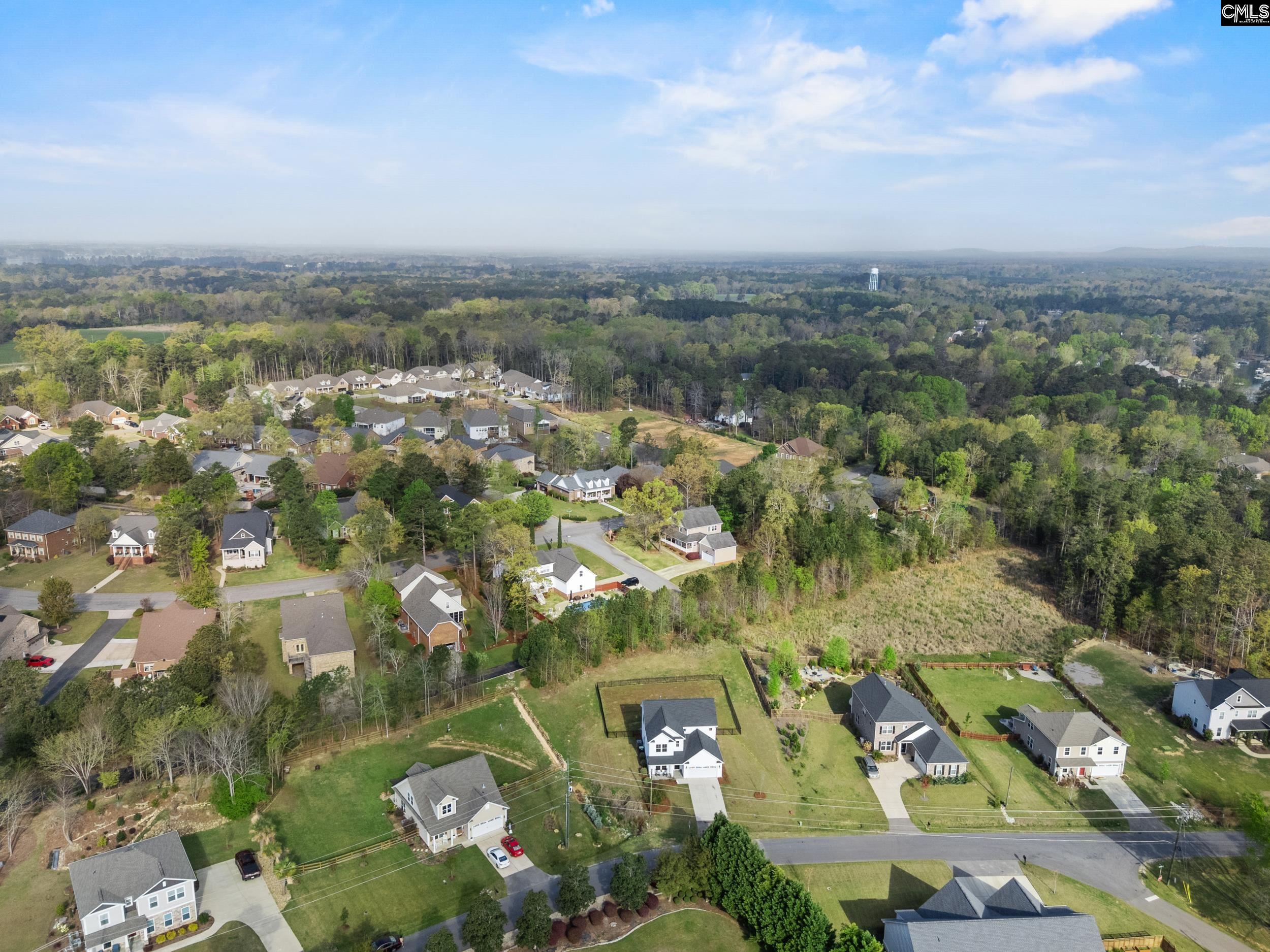 703 Mayflower Trail Chapin, SC 29036
