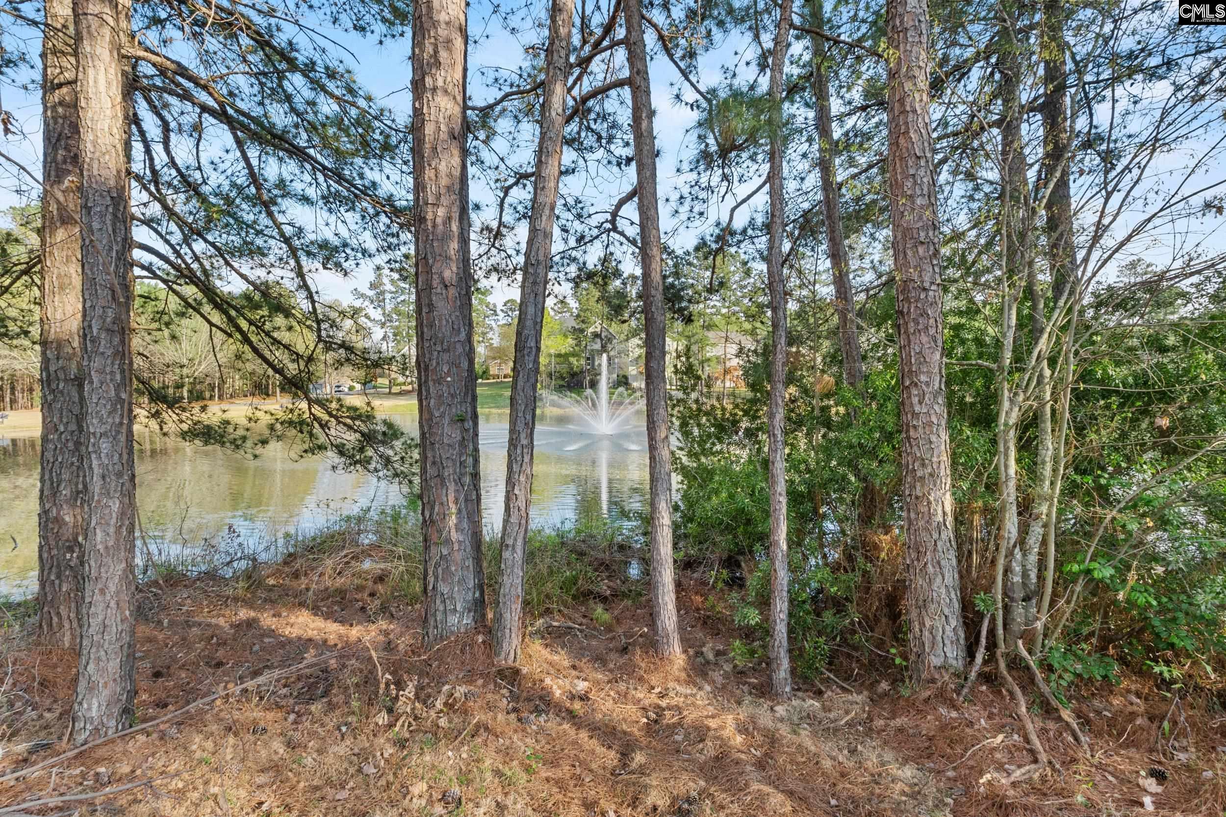 284 October Glory Drive Blythewood, SC 29016