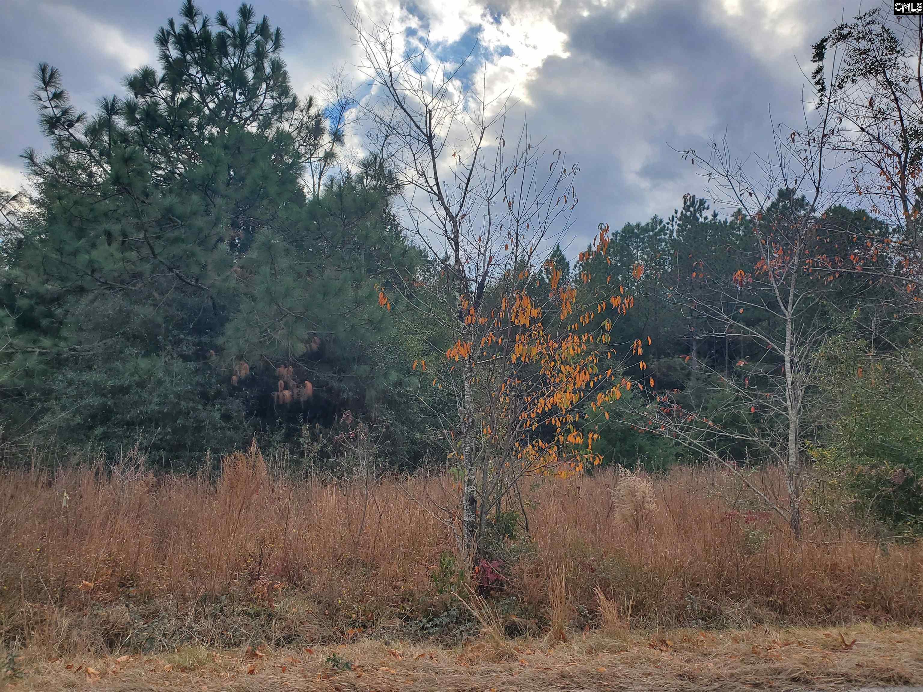 1152 Water Tank Road Pelion, SC 29123