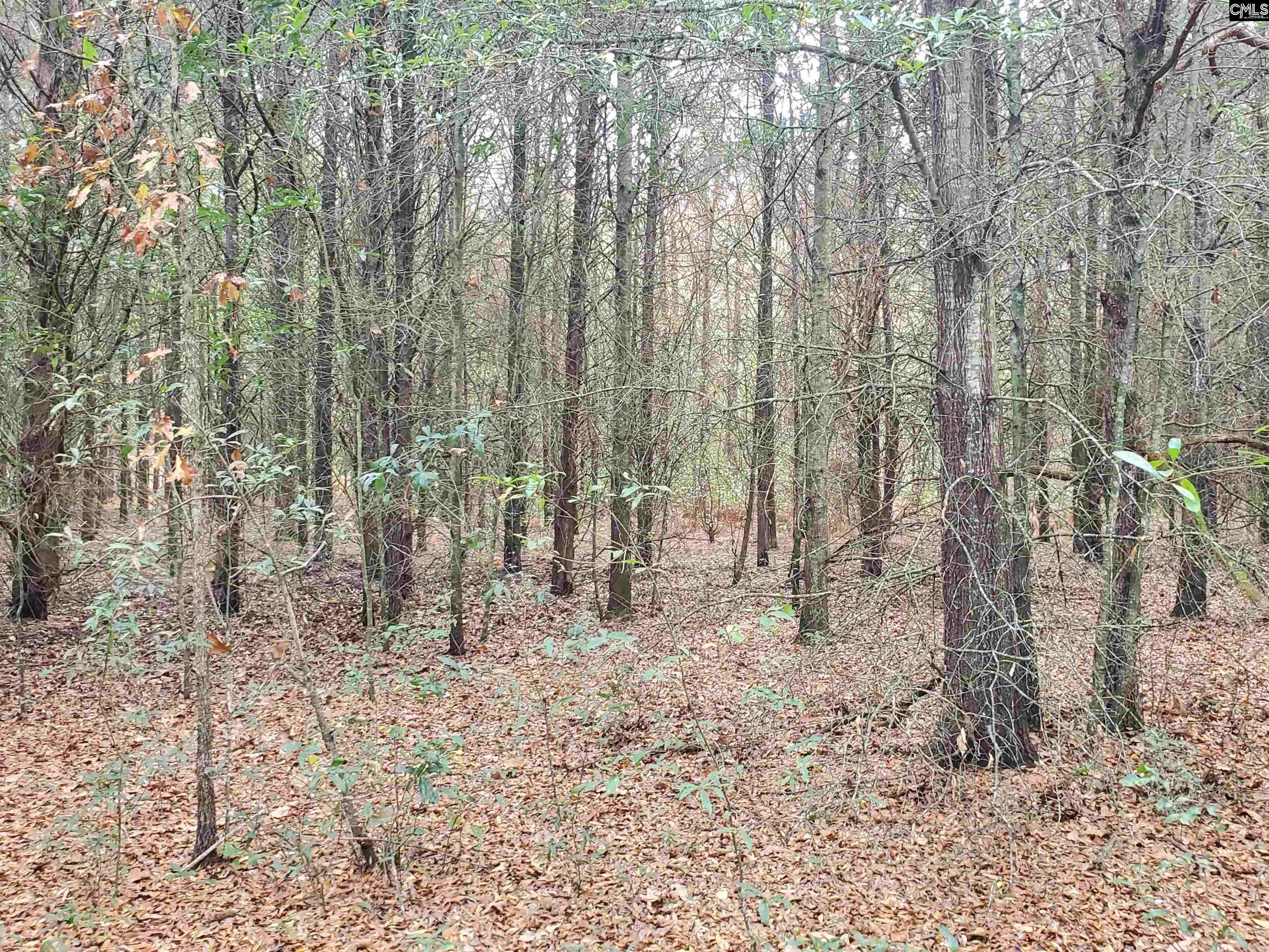 1152 Water Tank Road Pelion, SC 29123