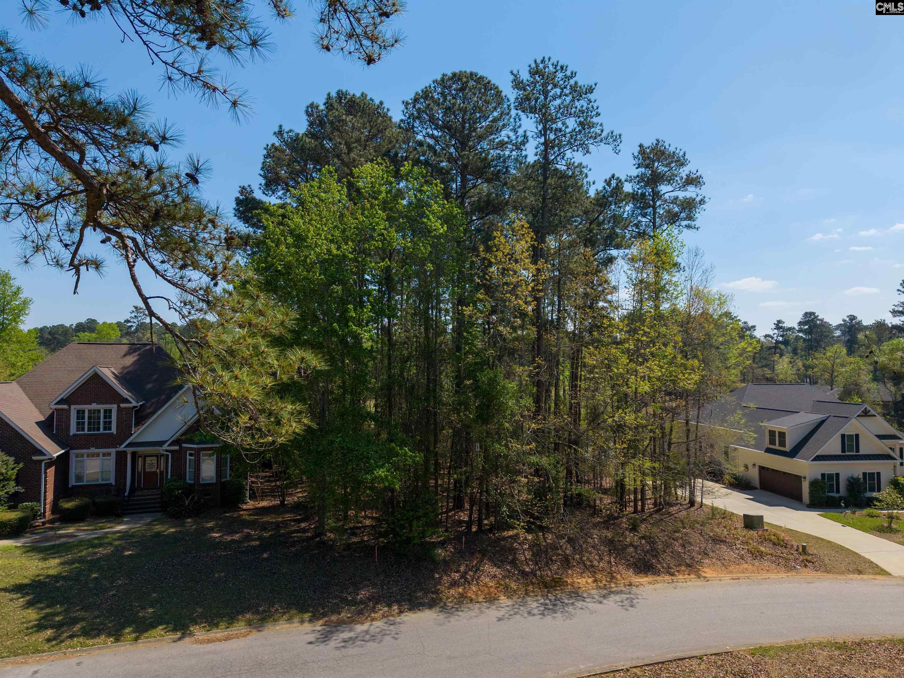 108 Oak Trace Court Chapin, SC 29036
