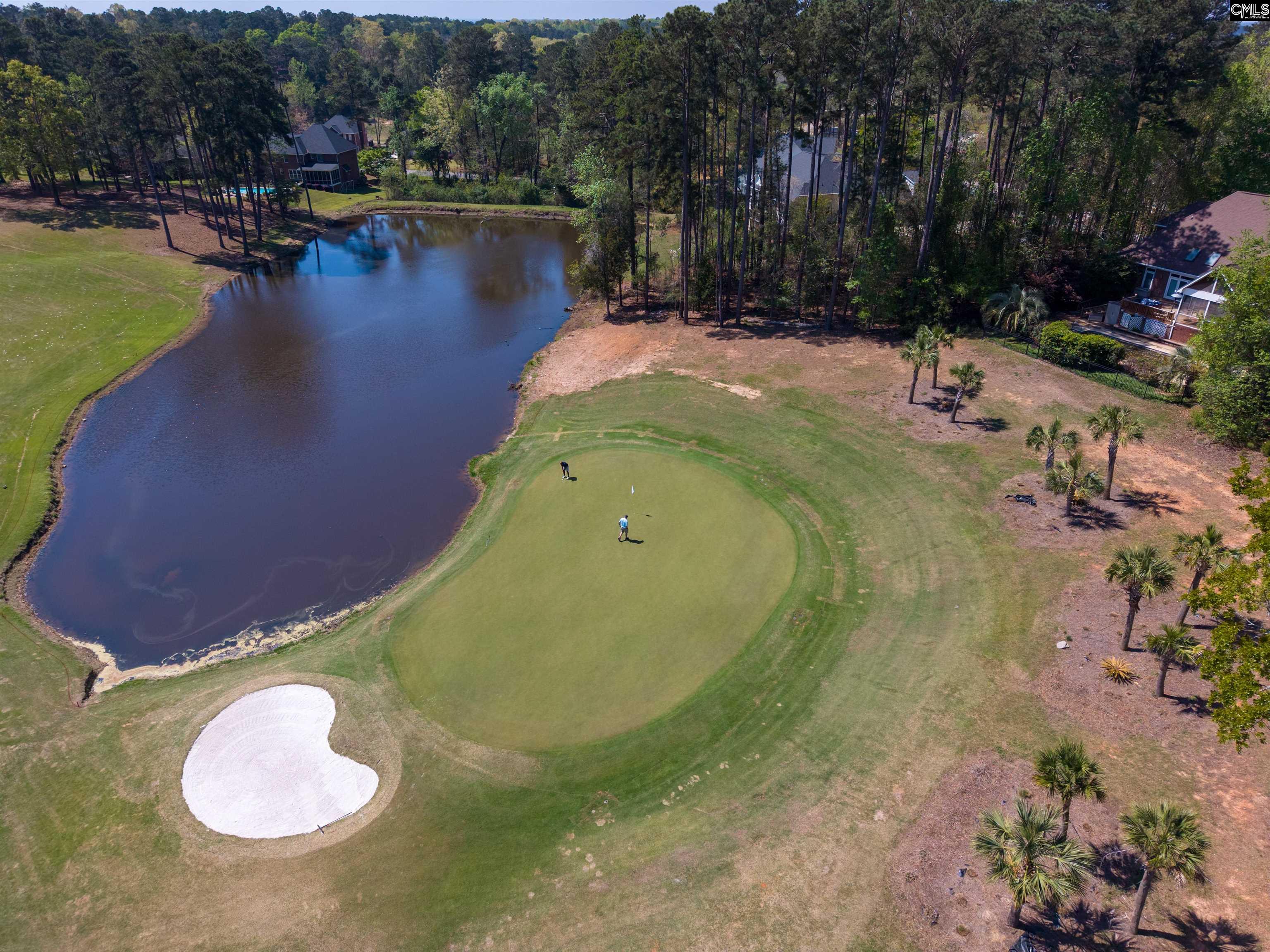108 Oak Trace Court Chapin, SC 29036