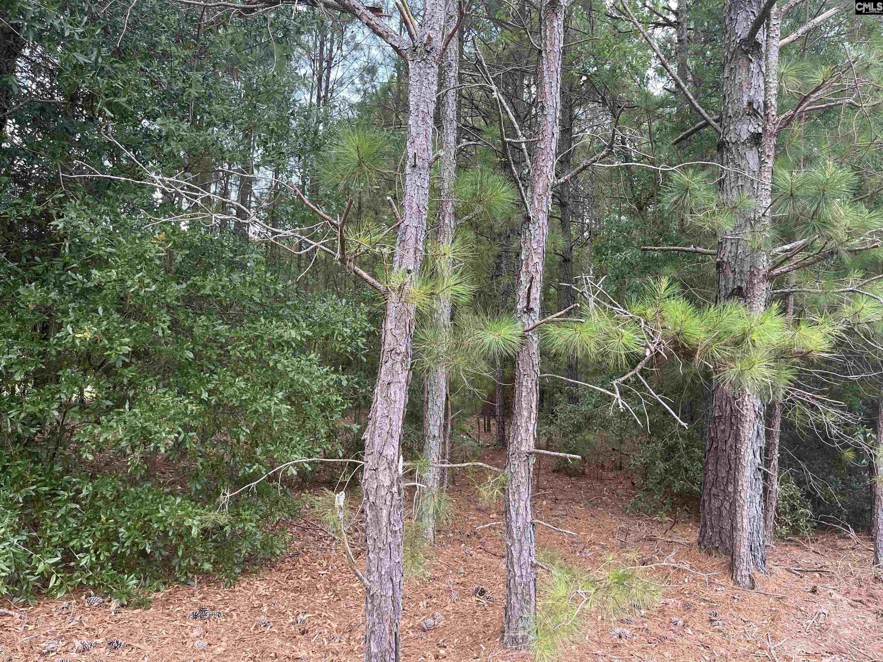 TBD Festival Trail Road Salley, SC 29137
