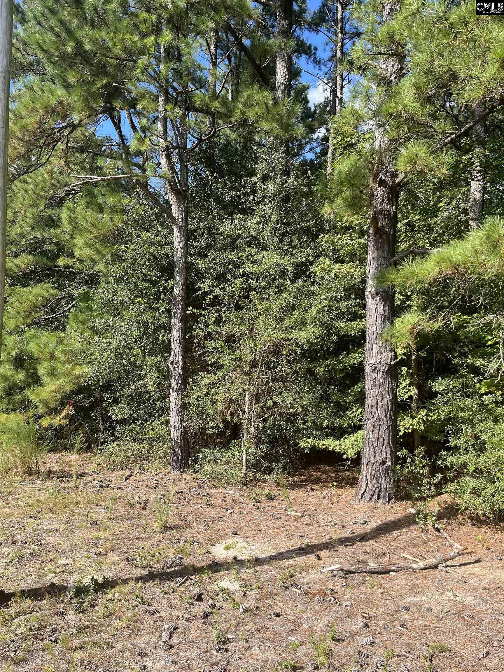 TBD Festival Trail Road Salley, SC 29137