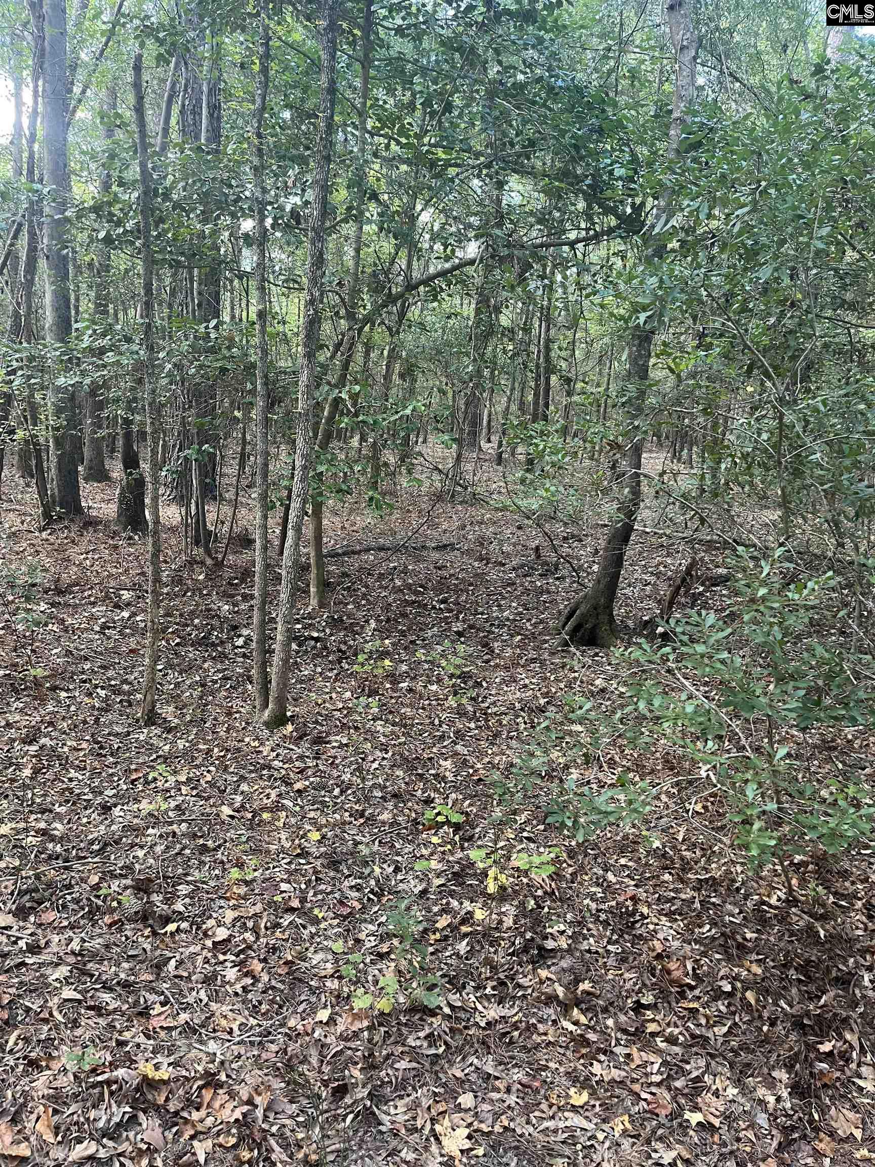 TBD Festival Trail Road Salley, SC 29137
