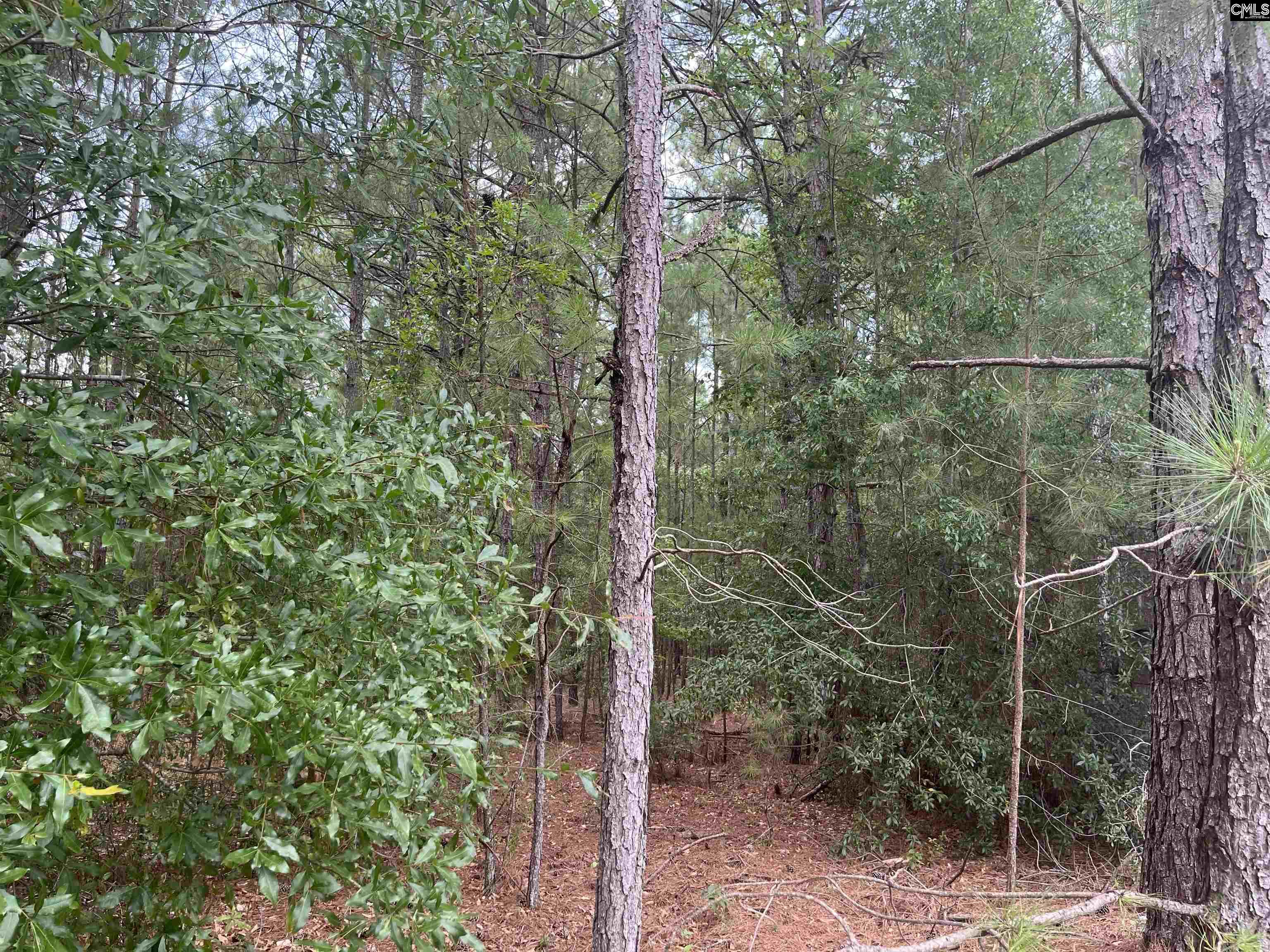 TBD Festival Trail Road Salley, SC 29137