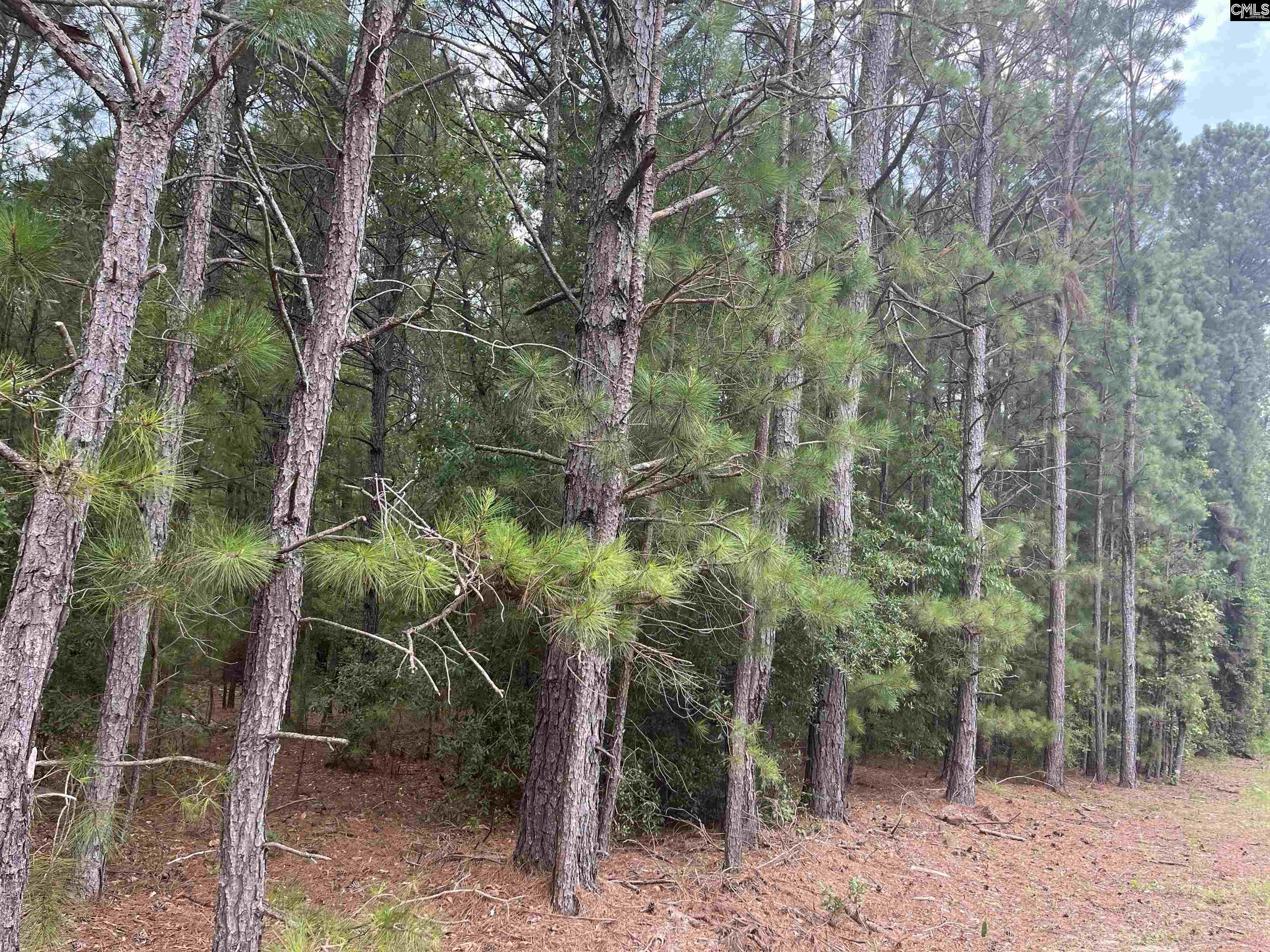 TBD Festival Trail Road Salley, SC 29137