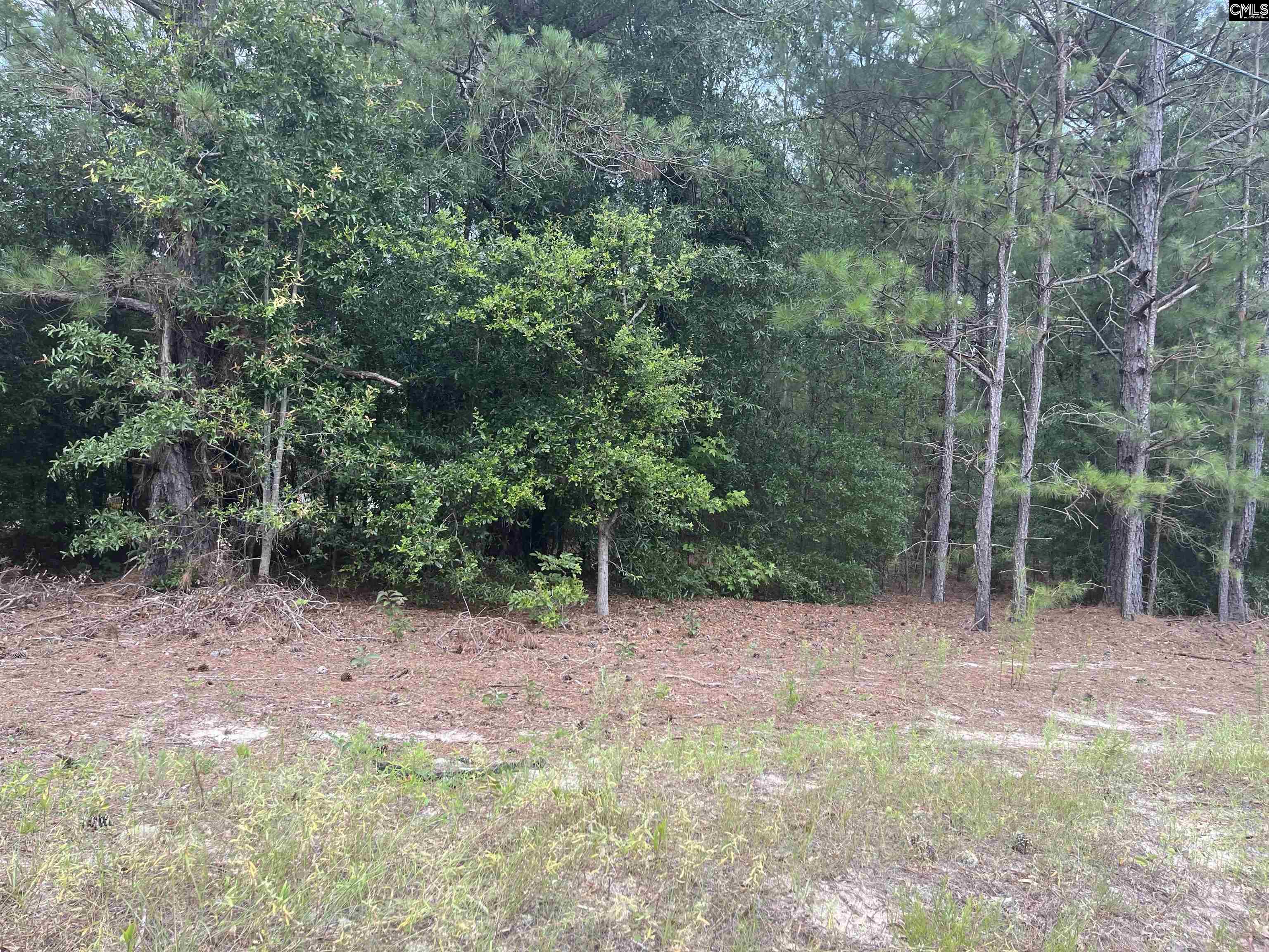 TBD Festival Trail Road Salley, SC 29137