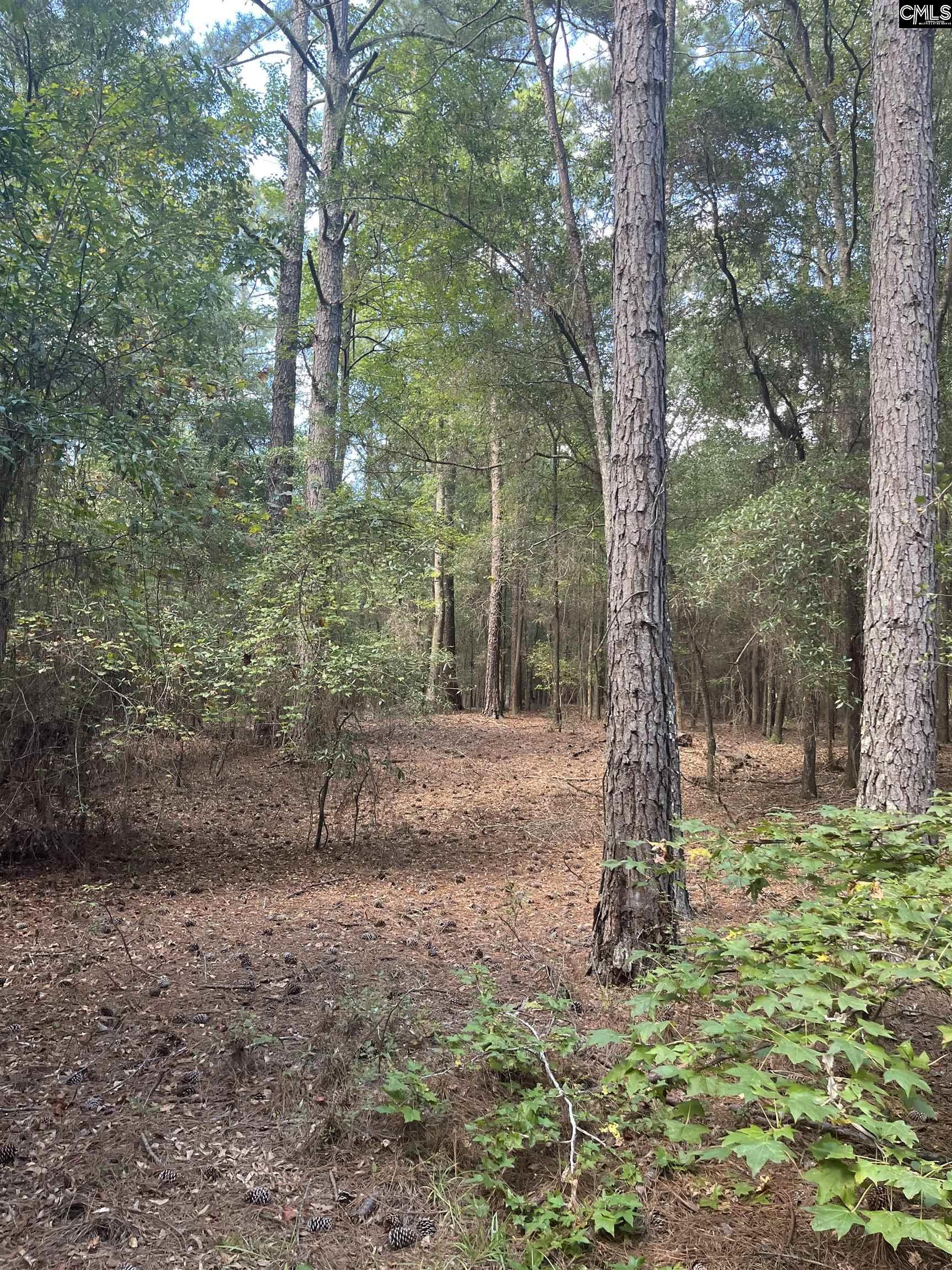 TBD Festival Trail Road Salley, SC 29137