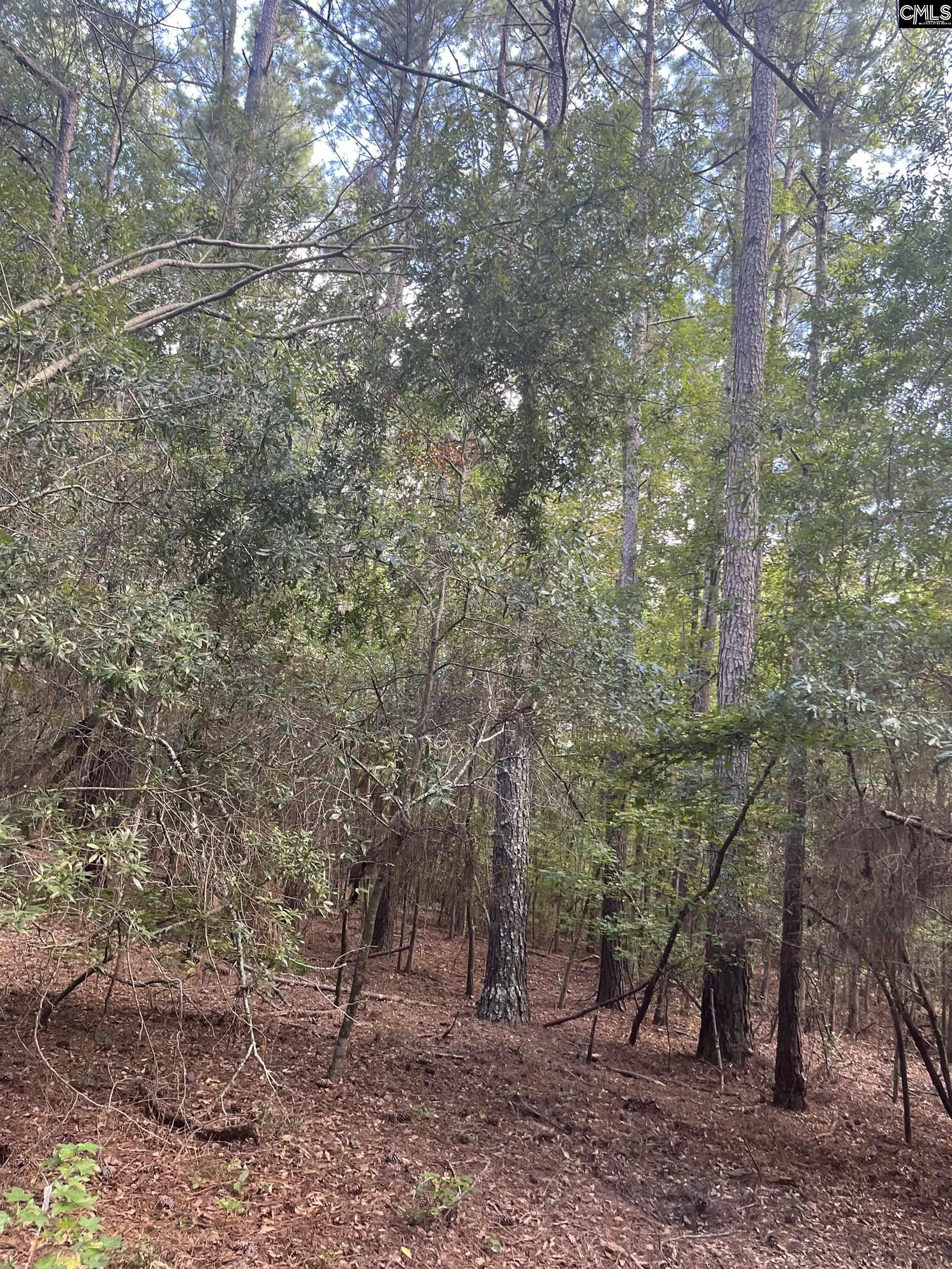 TBD Festival Trail Road Salley, SC 29137