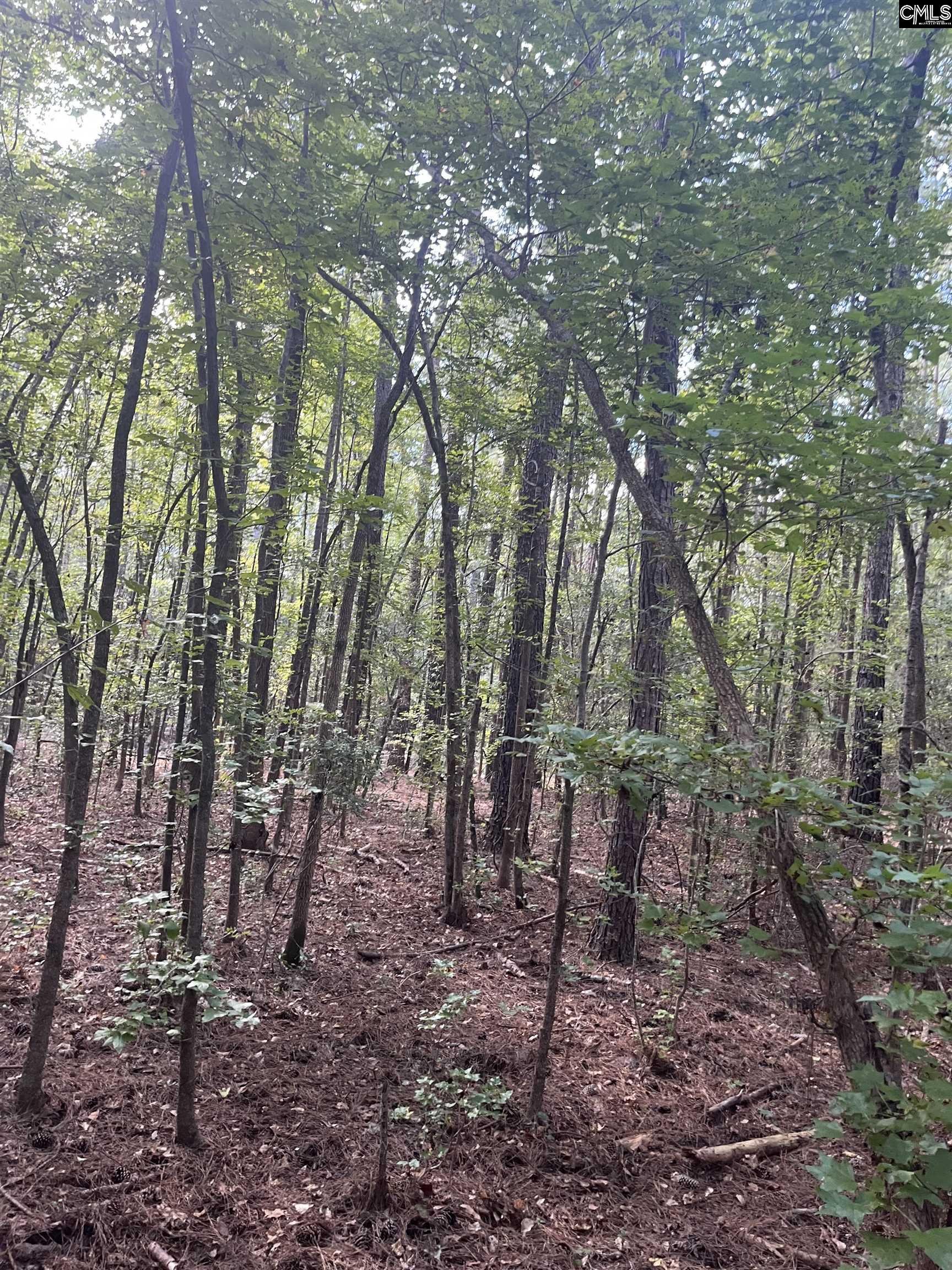 TBD Festival Trail Road Salley, SC 29137
