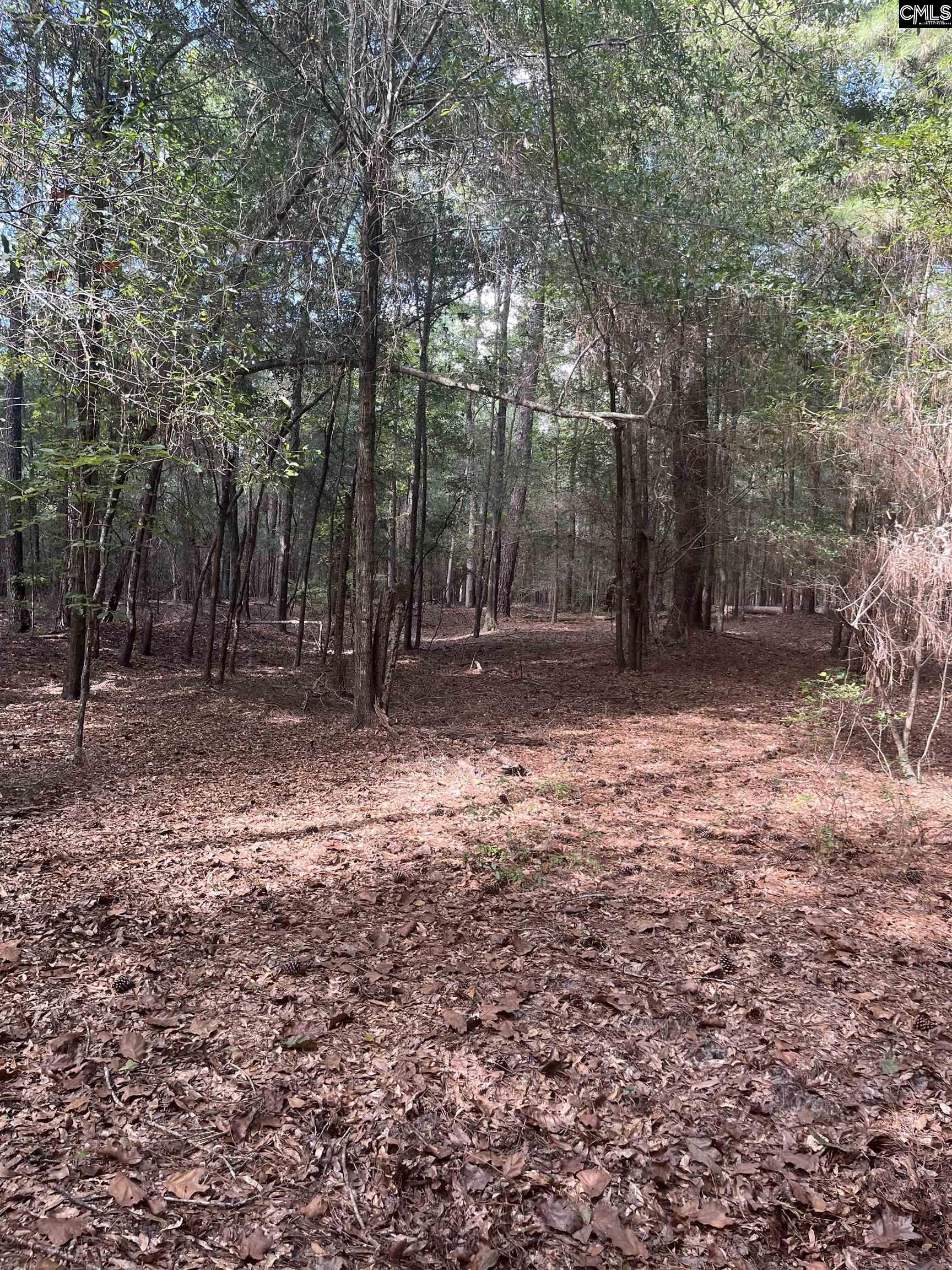 TBD Festival Trail Road Salley, SC 29137